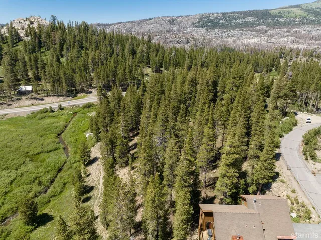 a view of a garden with plants and a bench