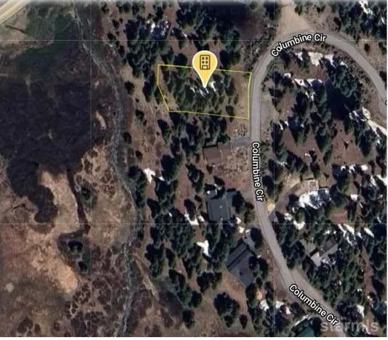 a view of a city with tall trees