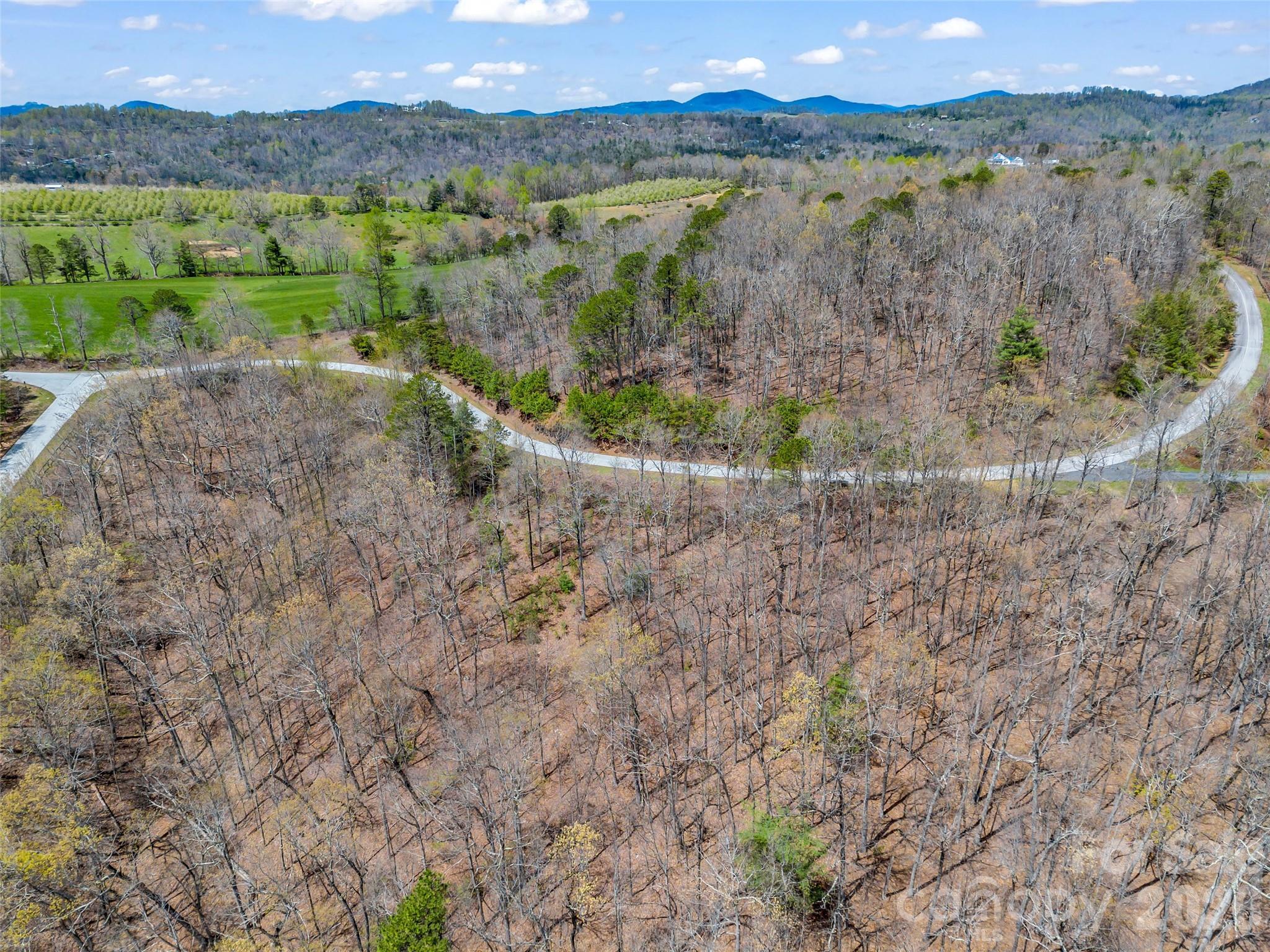 280 Eastman Place Mill Spring, NC 28756 - Photo 12 of 34 a view of an outdoor space with mountain view