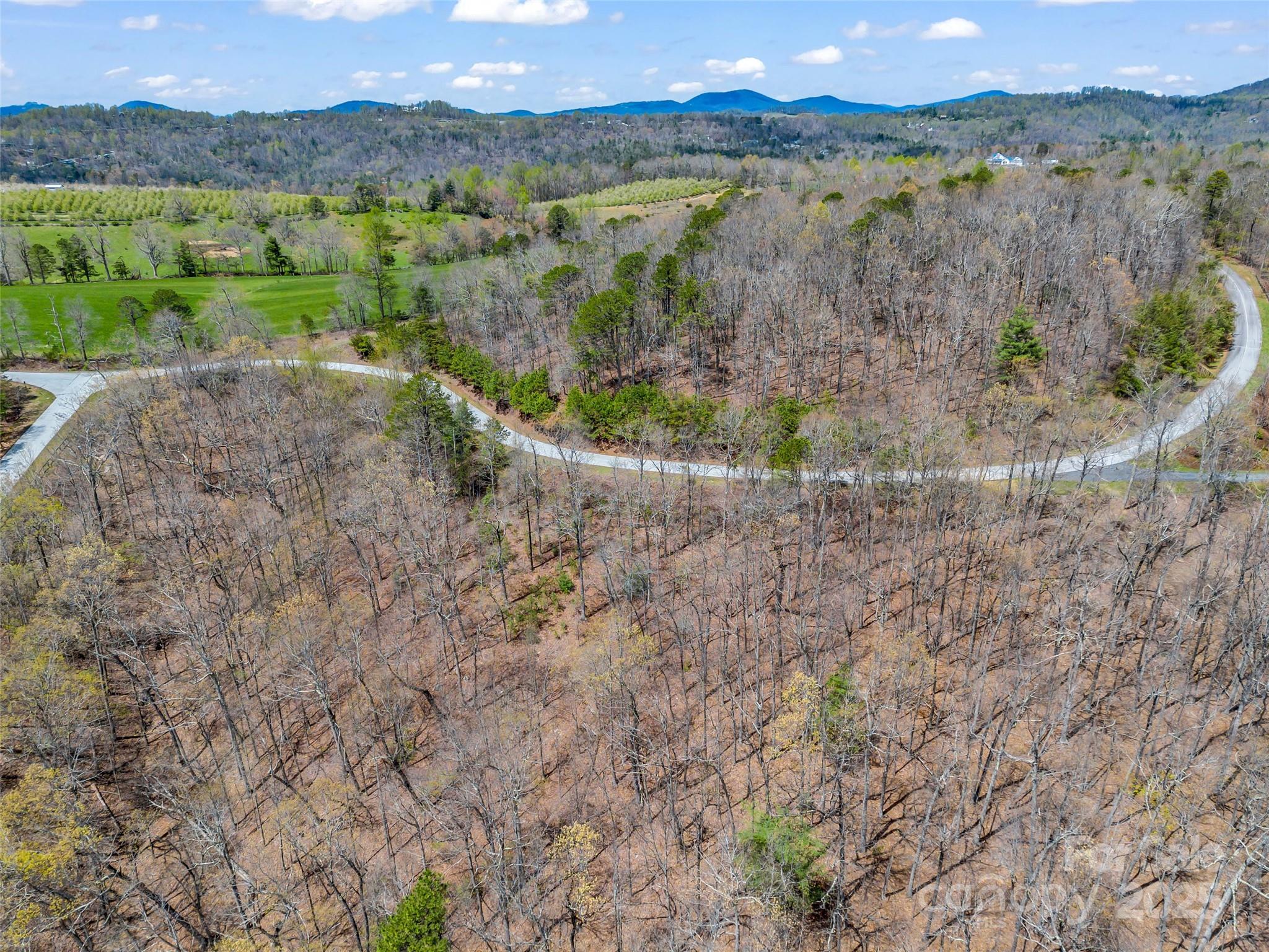 280 Eastman Place Mill Spring, NC 28756 - Photo 12 of 27 a view of an outdoor space with mountain view