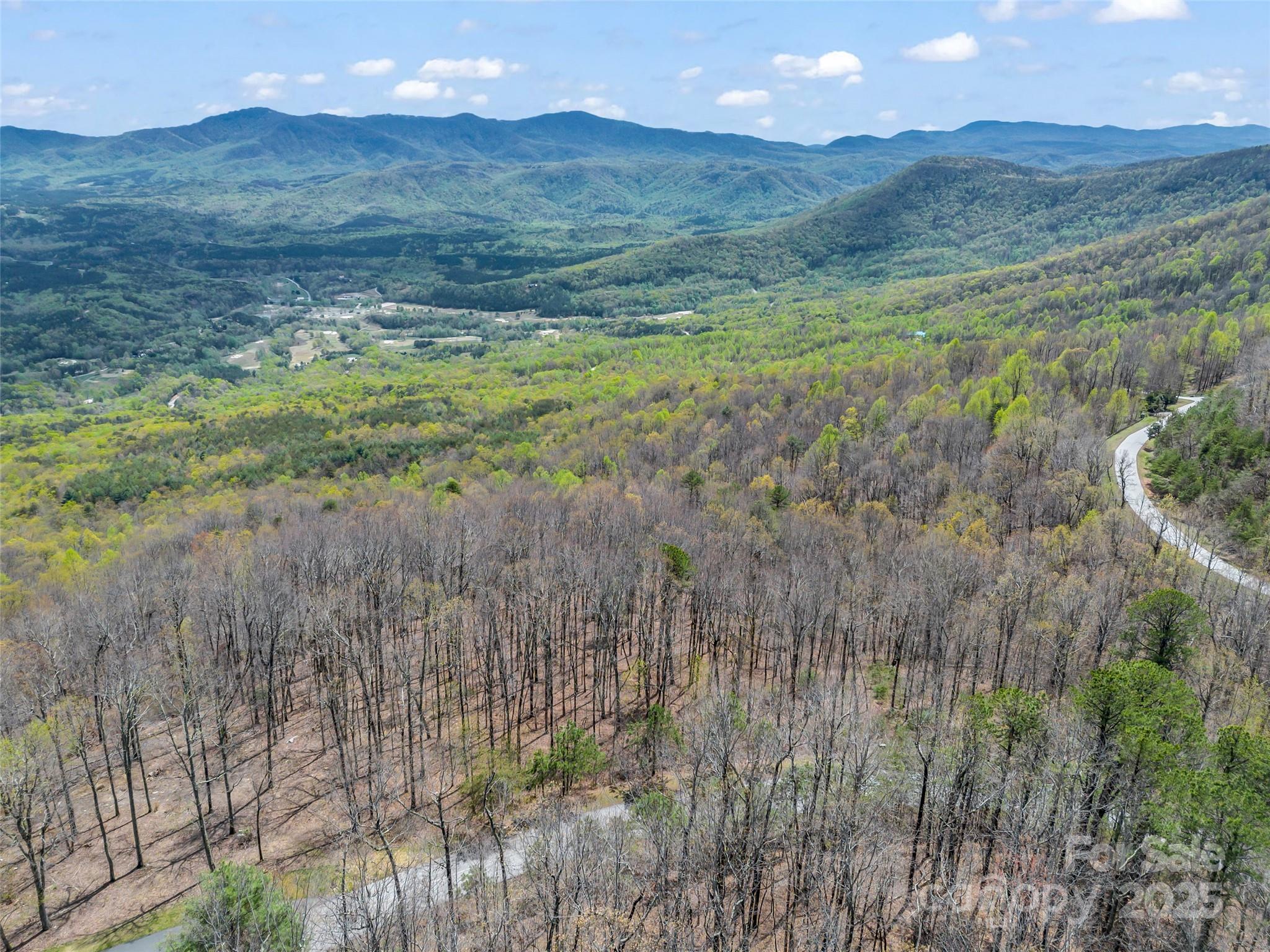 280 Eastman Place Mill Spring, NC 28756 - Photo 14 of 27 a view of a lush green hillside and houses