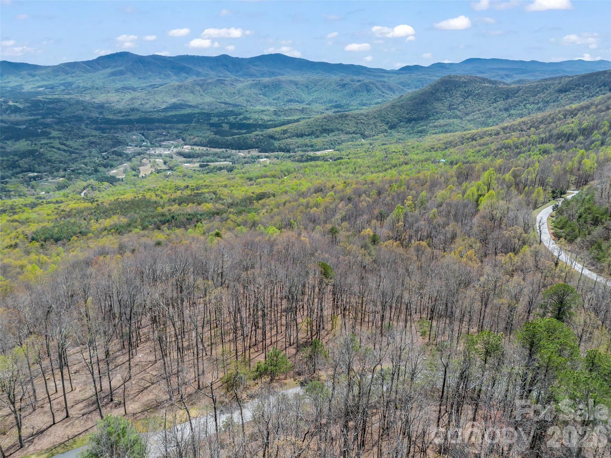 280 Eastman Place Mill Spring, NC 28756 - Photo 14 of 34 a view of a lush green hillside and houses