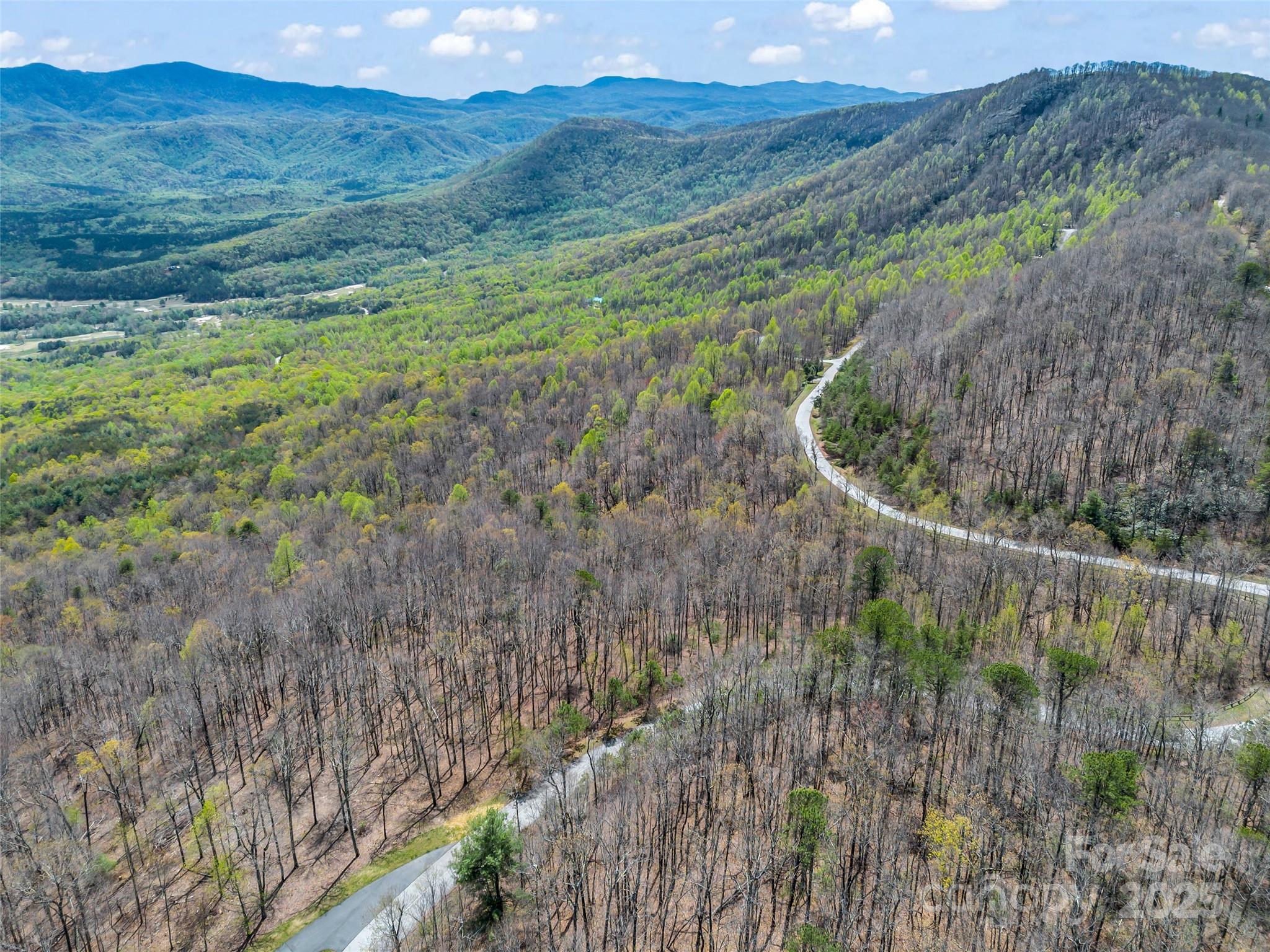 280 Eastman Place Mill Spring, NC 28756 - Photo 16 of 27 a view of a forest with a forest