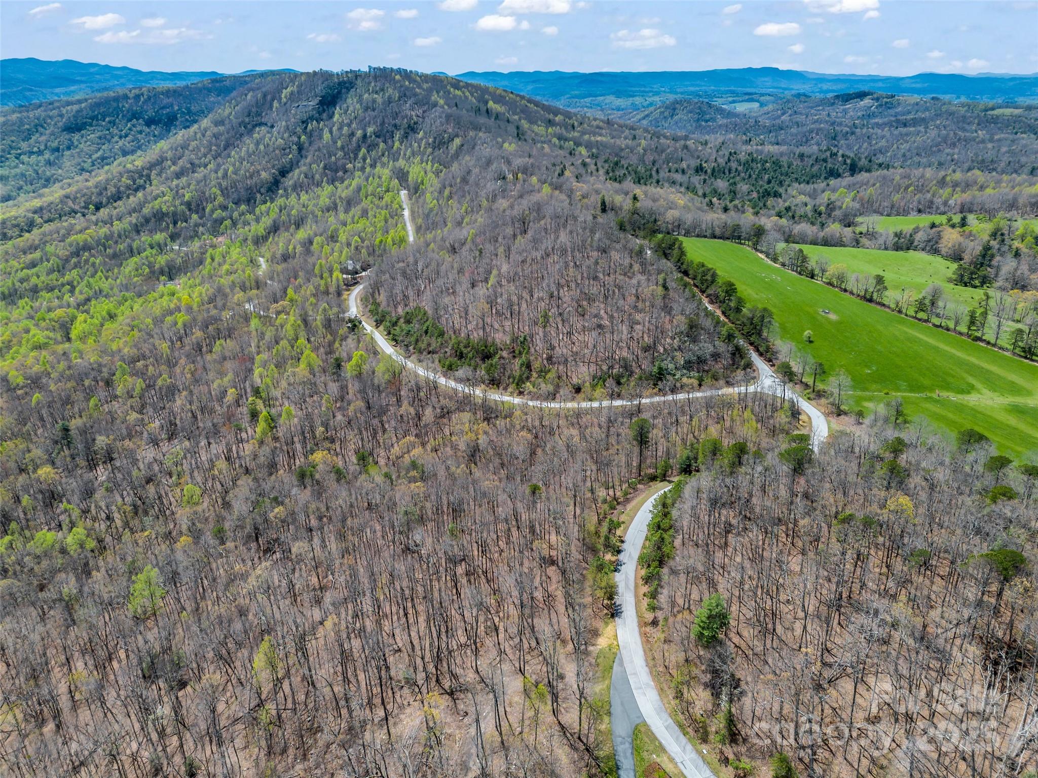 280 Eastman Place Mill Spring, NC 28756 - Photo 17 of 27 a view of outdoor space and mountain view