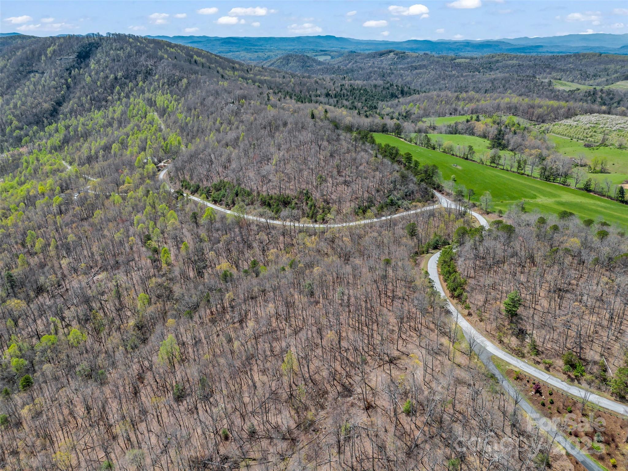 280 Eastman Place Mill Spring, NC 28756 - Photo 18 of 27 a view of a dry yard with green space