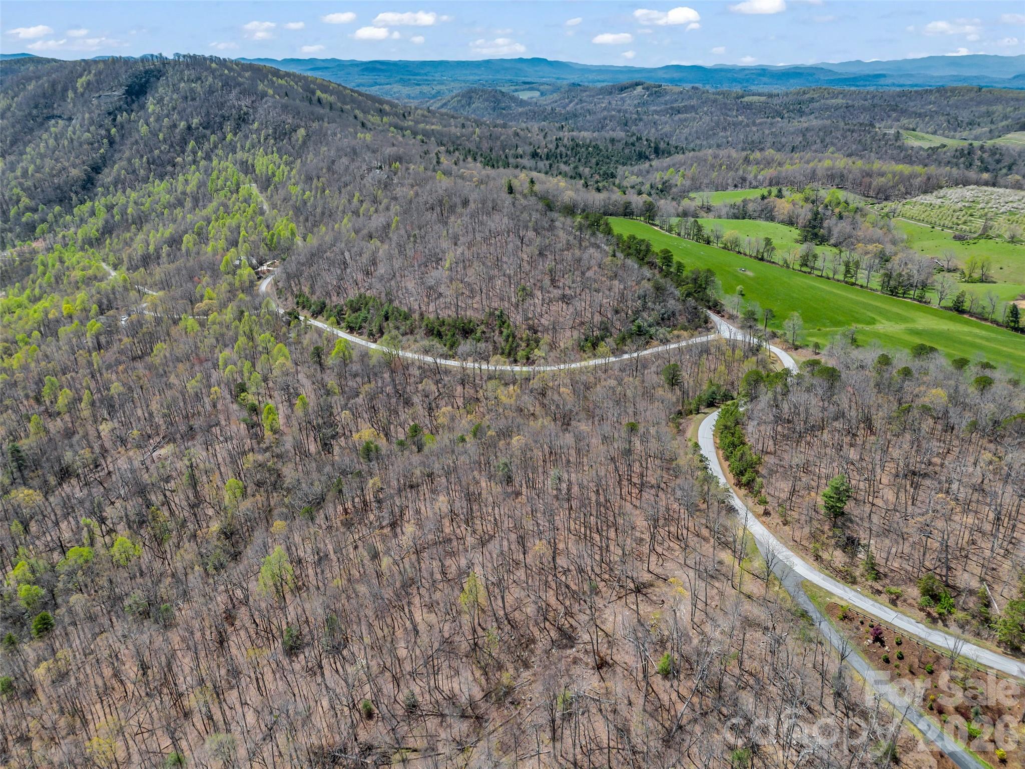 280 Eastman Place Mill Spring, NC 28756 - Photo 18 of 34 a view of a dry yard with mountain