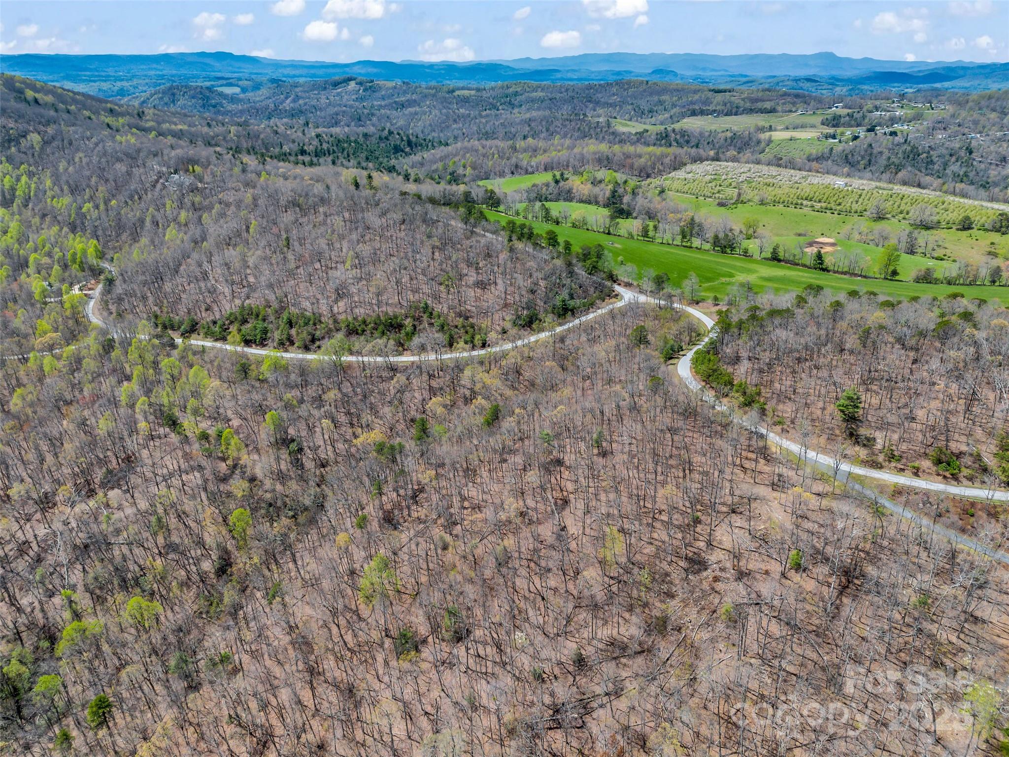 280 Eastman Place Mill Spring, NC 28756 - Photo 19 of 27 a view of outdoor space and mountain view