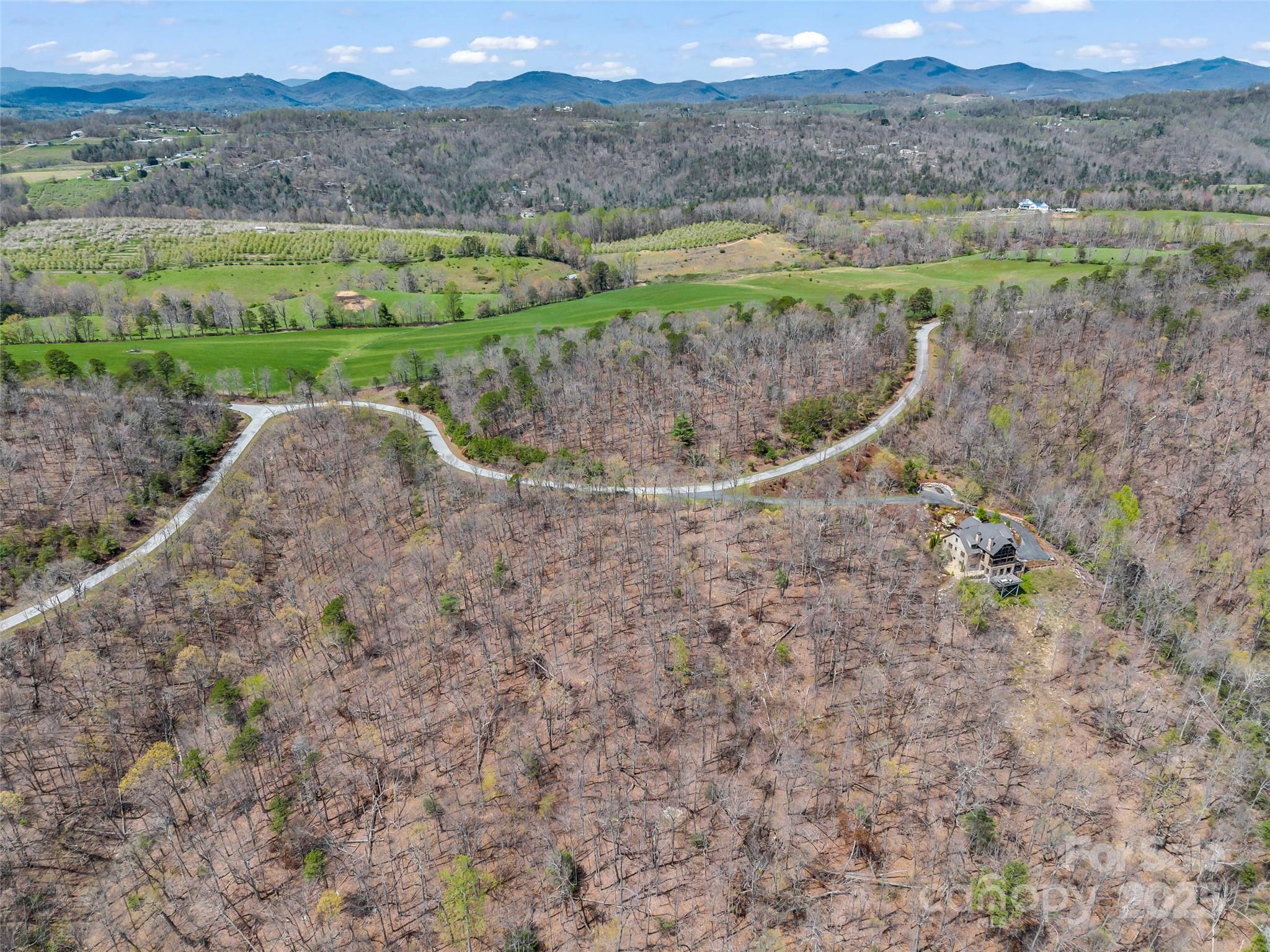 280 Eastman Place Mill Spring, NC 28756 - Photo 20 of 27 a view of a dry yard with green space