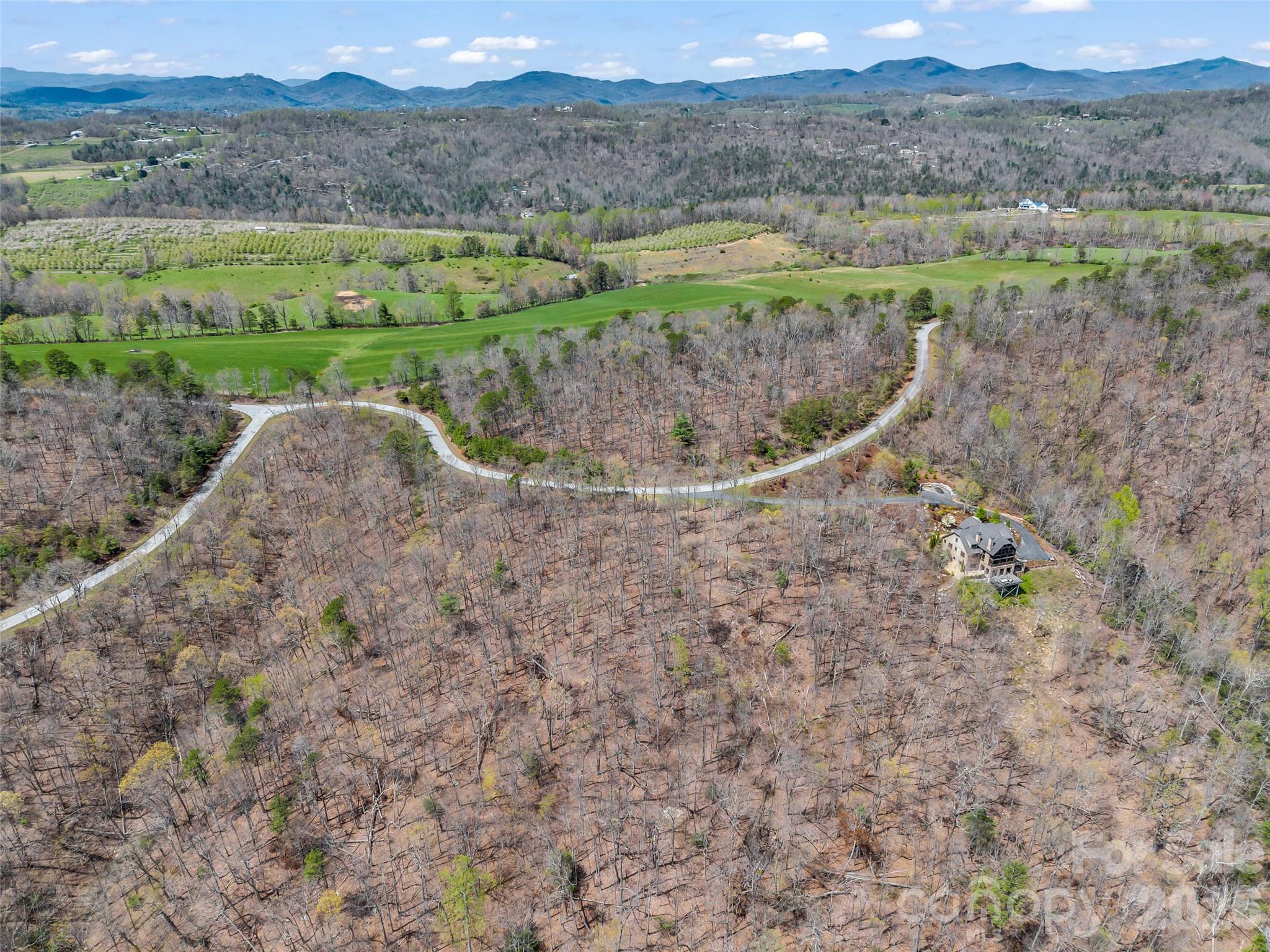280 Eastman Place Mill Spring, NC 28756 - Photo 20 of 34 a view of a dry yard with green space