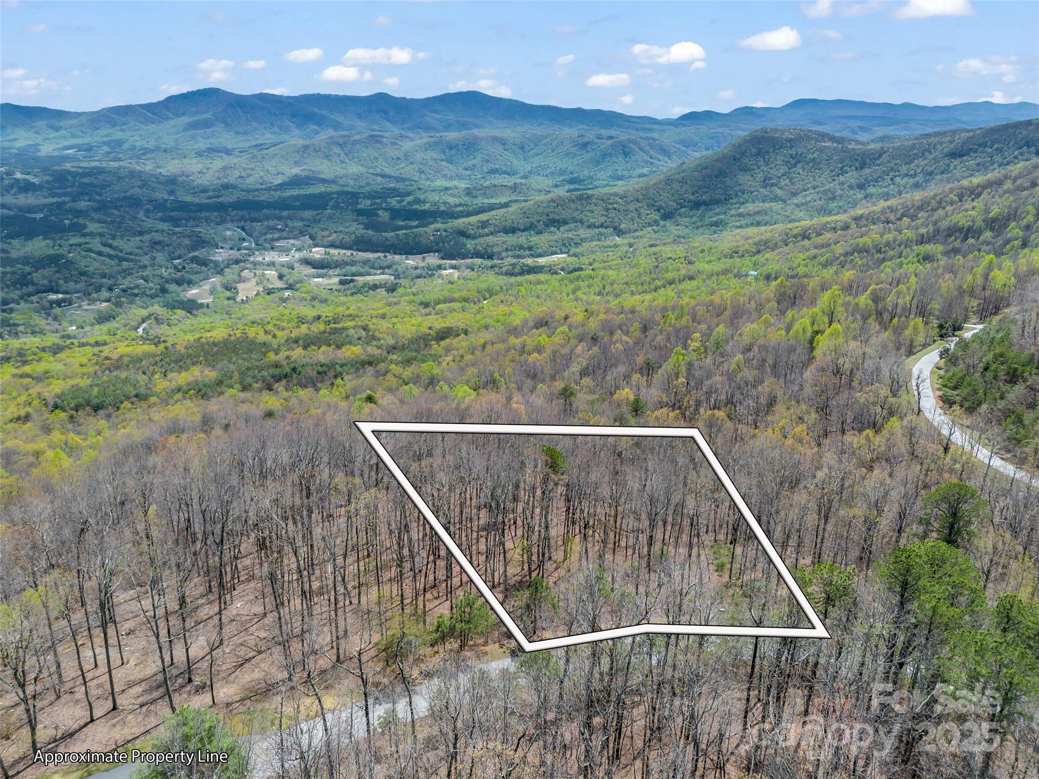 280 Eastman Place Mill Spring, NC 28756 - Photo 2 of 27 a view of a backyard