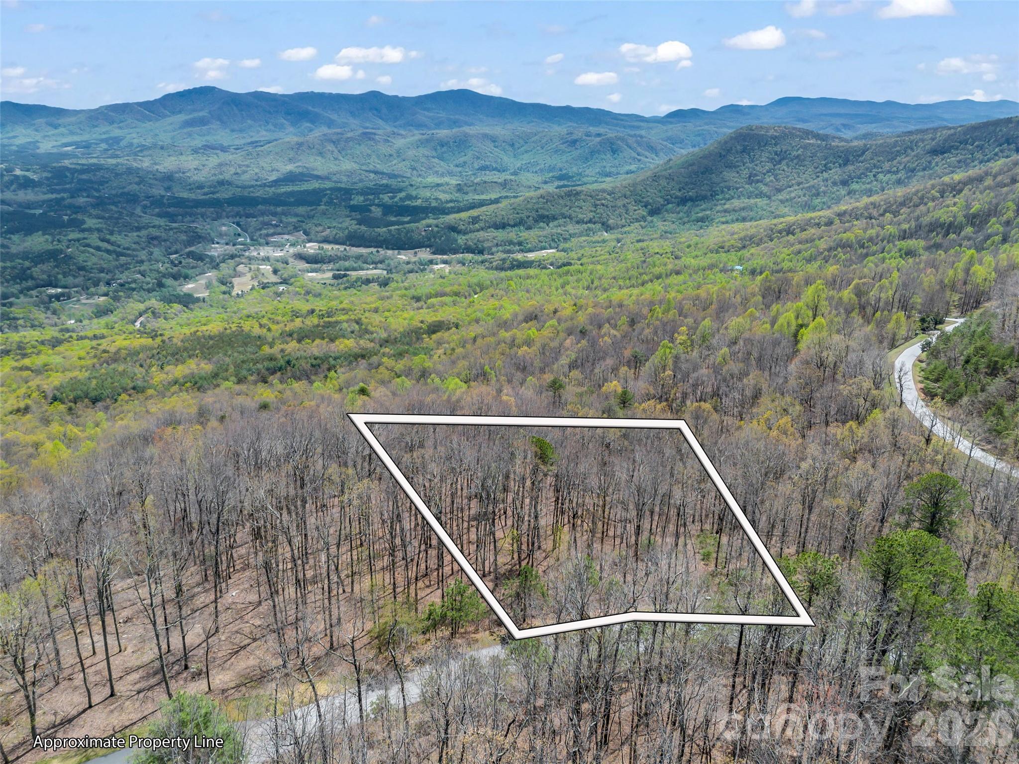 280 Eastman Place Mill Spring, NC 28756 - Photo 2 of 34 a view of a backyard