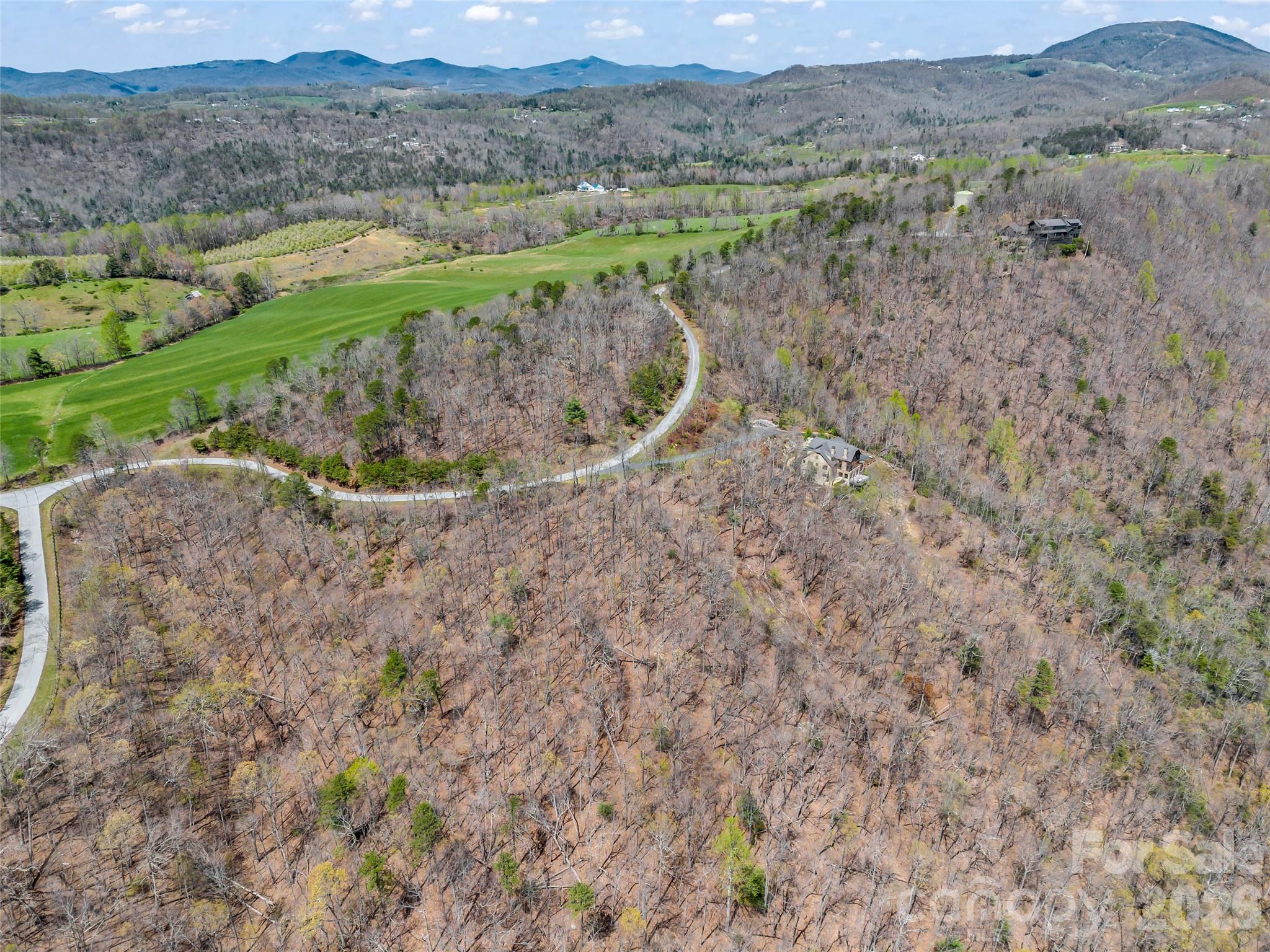 280 Eastman Place Mill Spring, NC 28756 - Photo 21 of 34 a view of a dry yard with green space