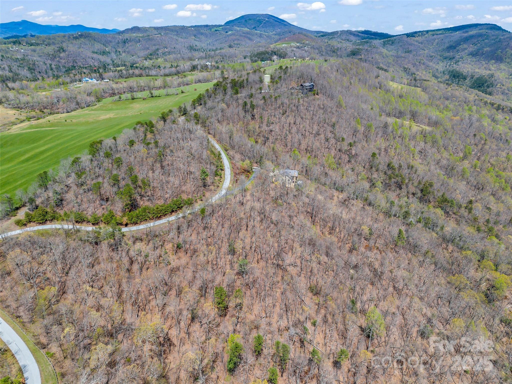 280 Eastman Place Mill Spring, NC 28756 - Photo 22 of 27 a view of a dry yard with green space