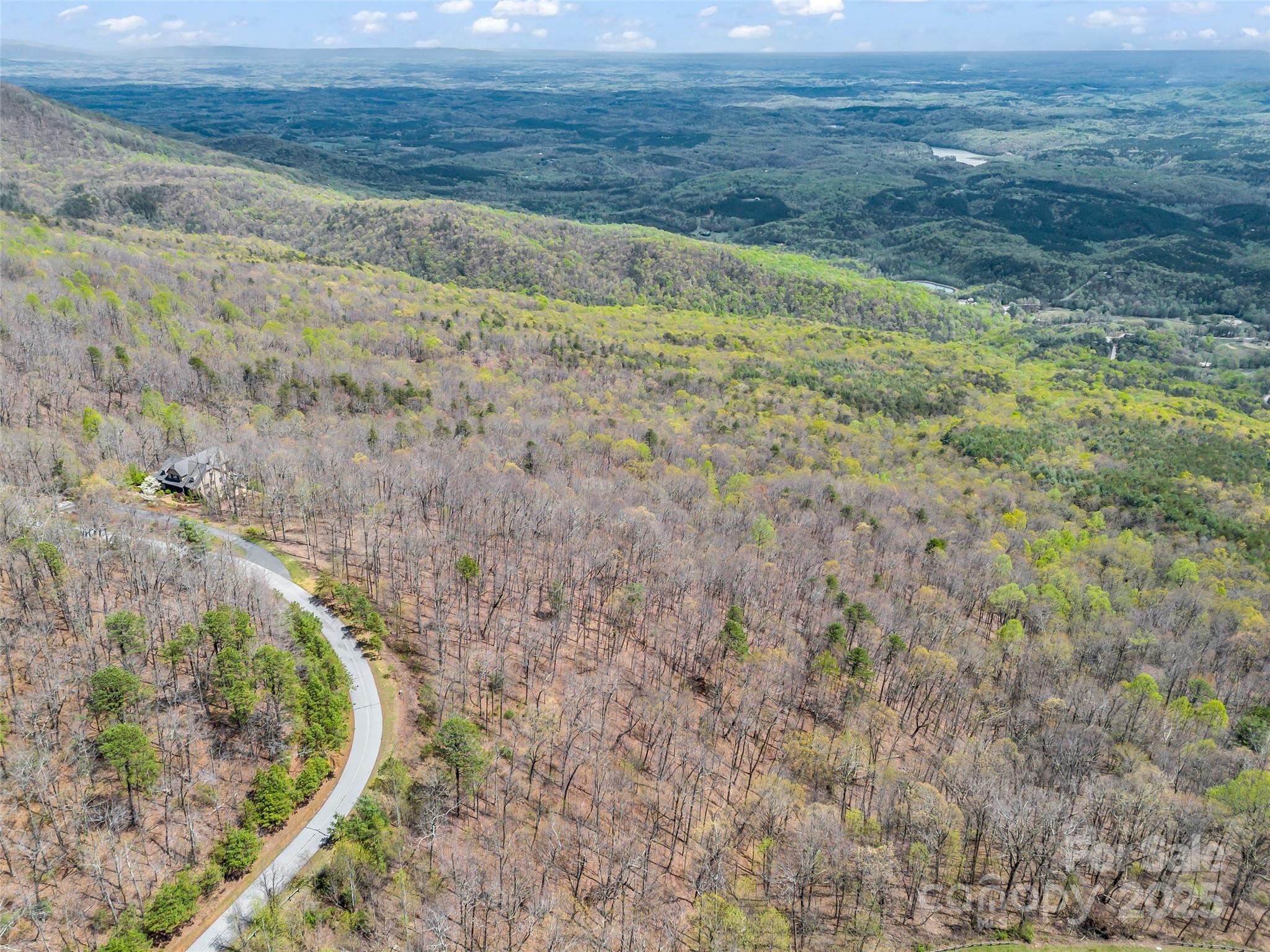 280 Eastman Place Mill Spring, NC 28756 - Photo 23 of 27 a view of a yard