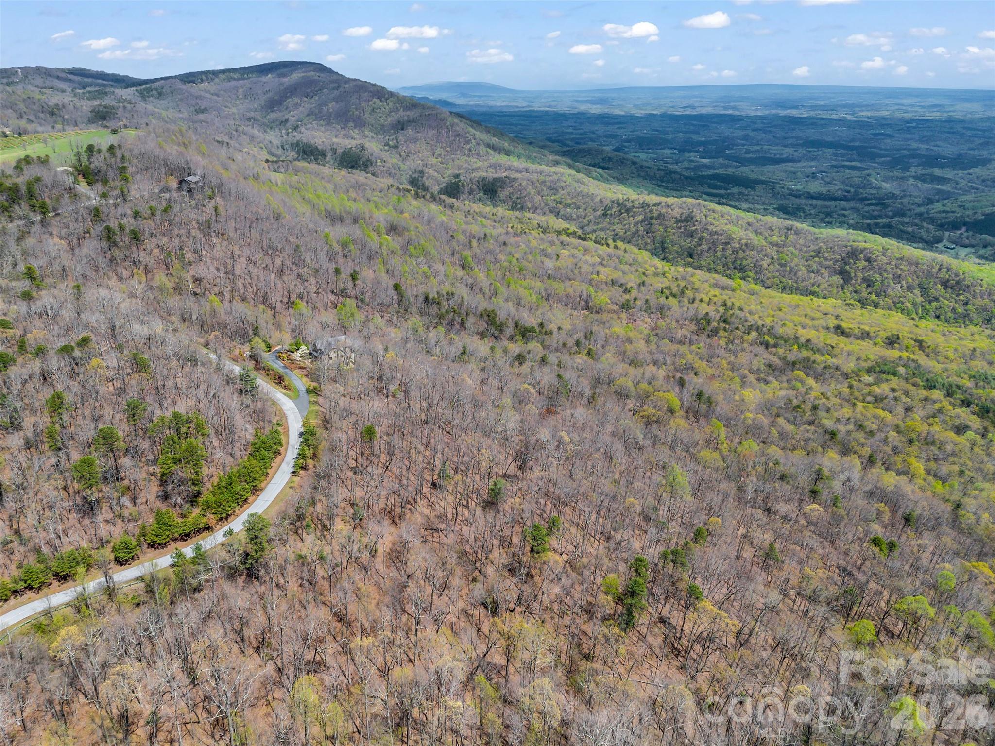 280 Eastman Place Mill Spring, NC 28756 - Photo 24 of 34 a view of a dry yard with wooden fence