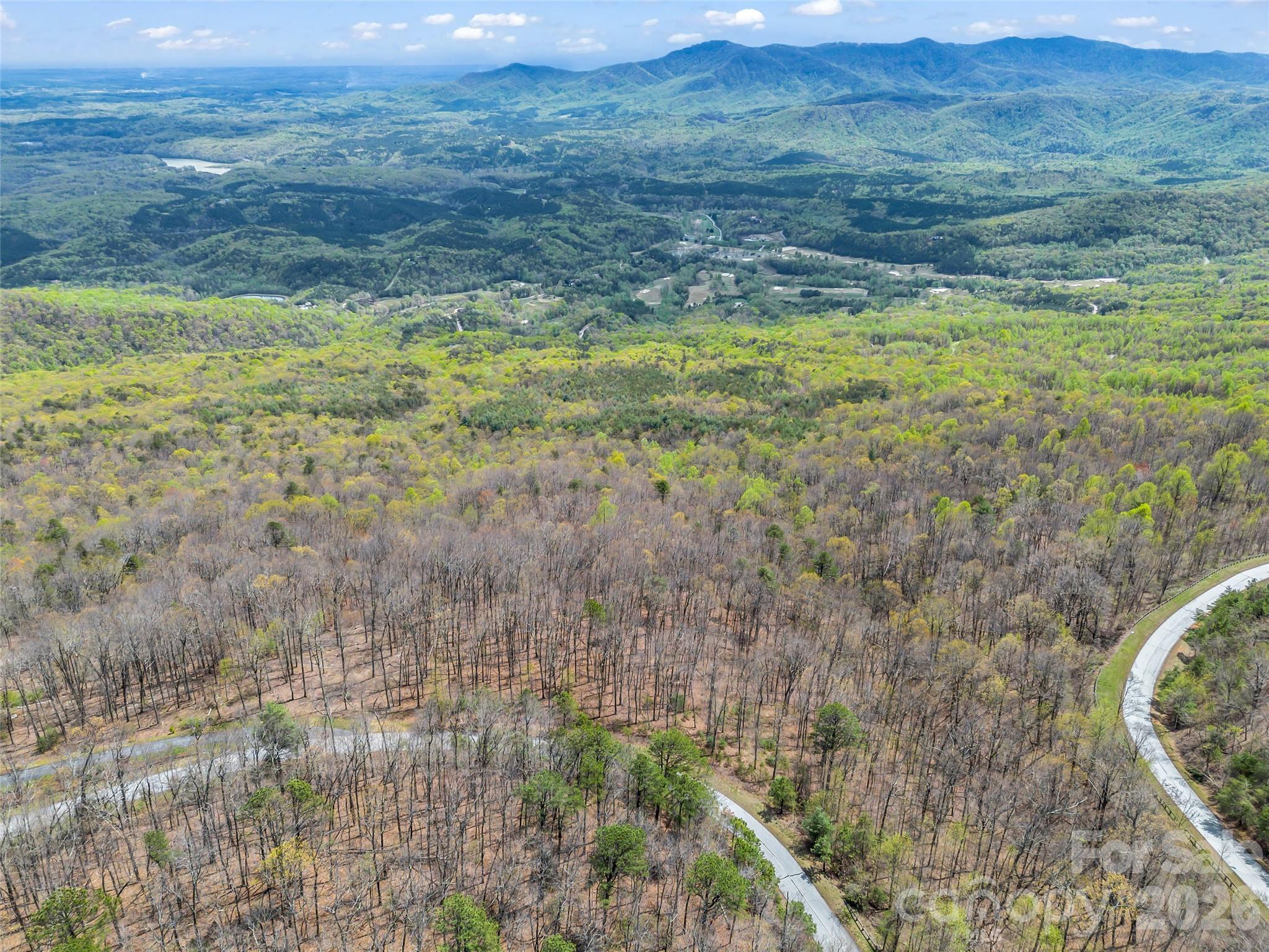 280 Eastman Place Mill Spring, NC 28756 - Photo 25 of 34