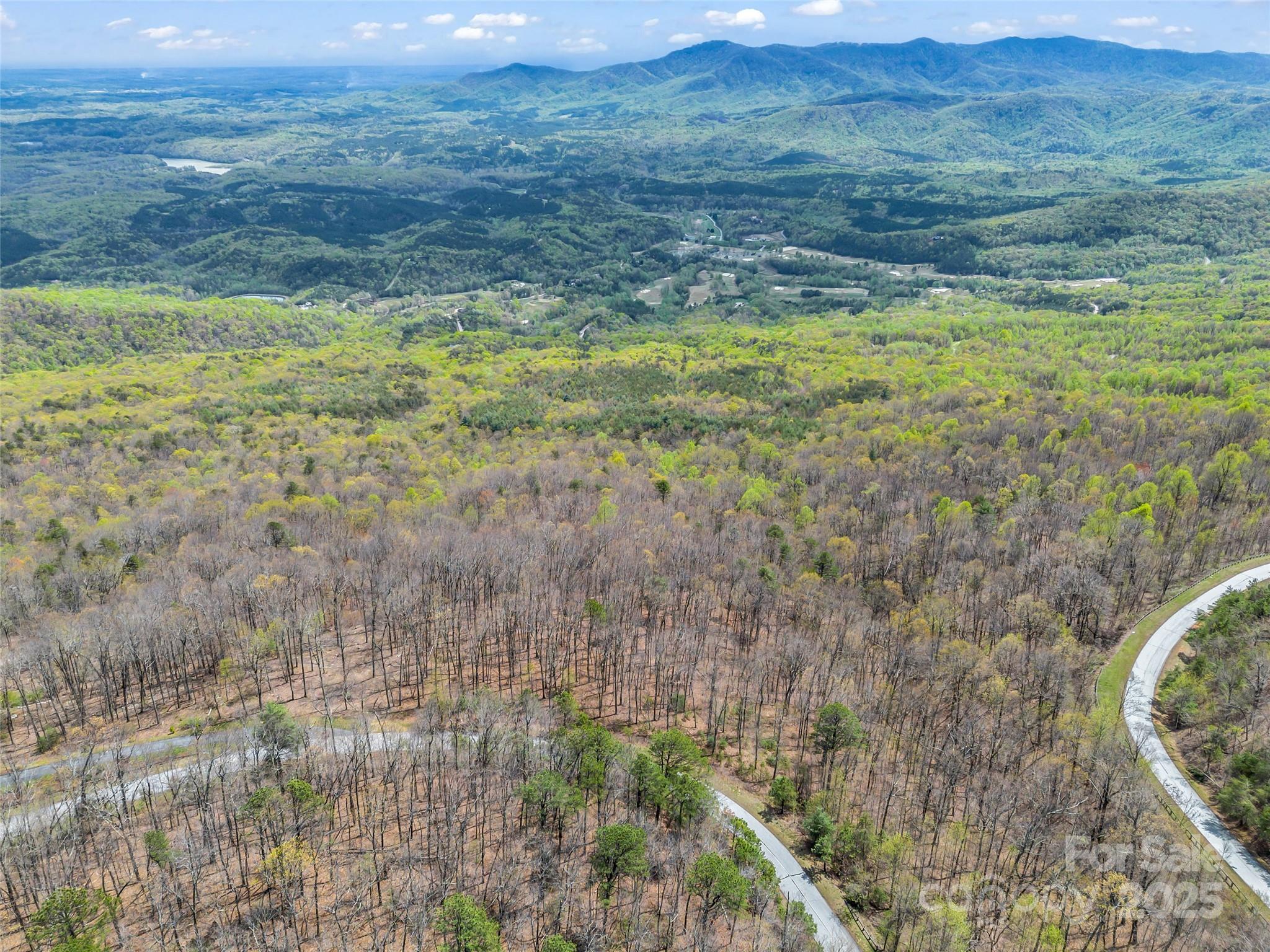 280 Eastman Place Mill Spring, NC 28756 - Photo 25 of 27 a view of an outdoor space and a yard