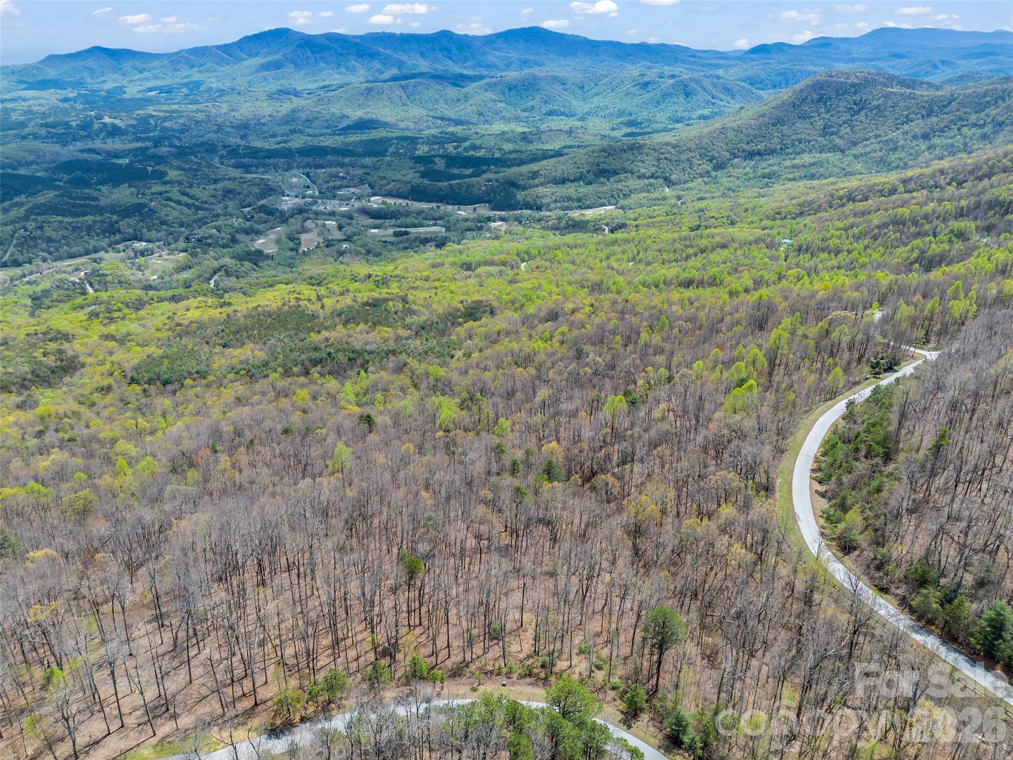 280 Eastman Place Mill Spring, NC 28756 - Photo 26 of 34 a view of a lush green hillside and a building