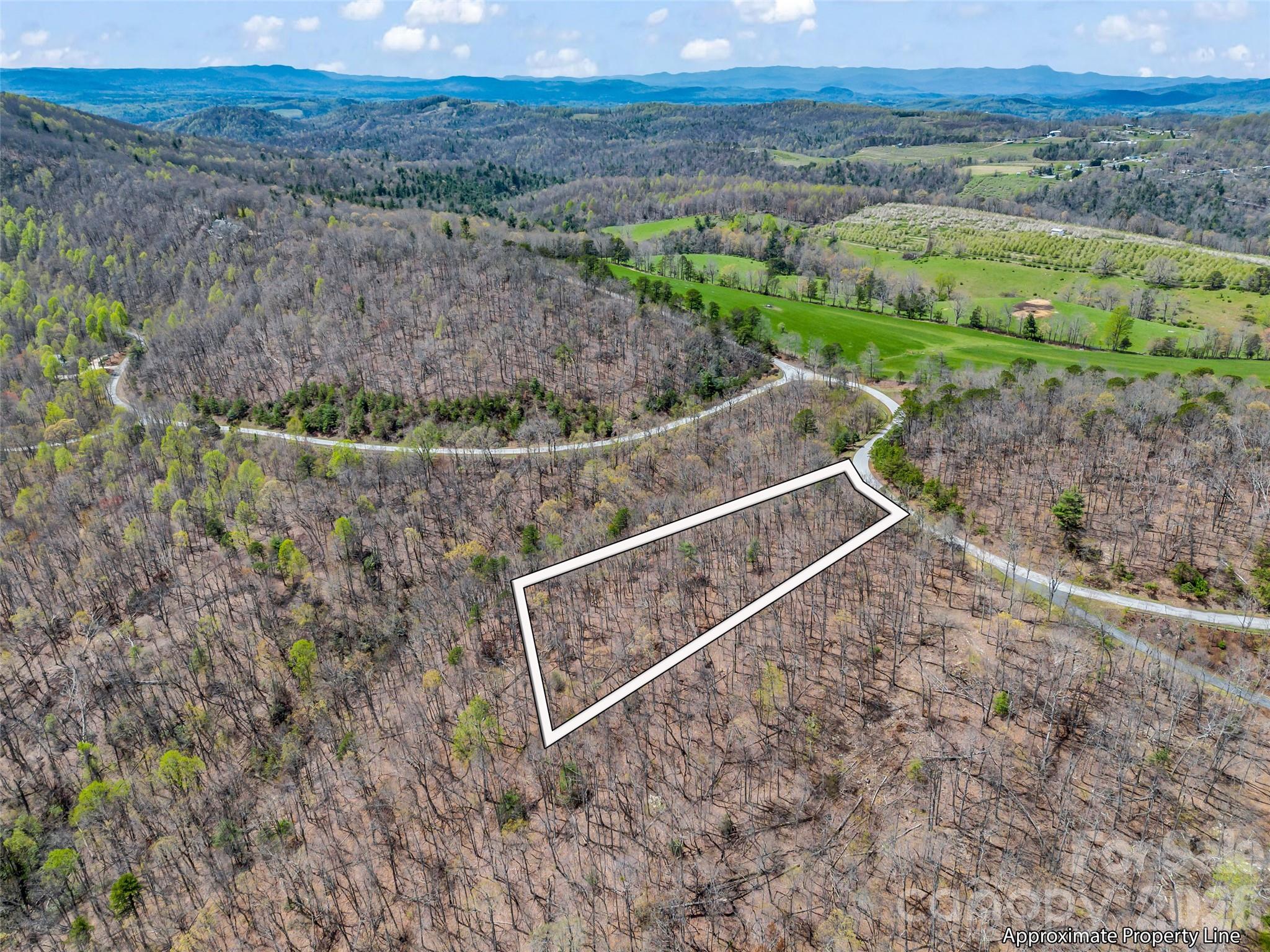 280 Eastman Place Mill Spring, NC 28756 - Photo 3 of 34 a view of outdoor space