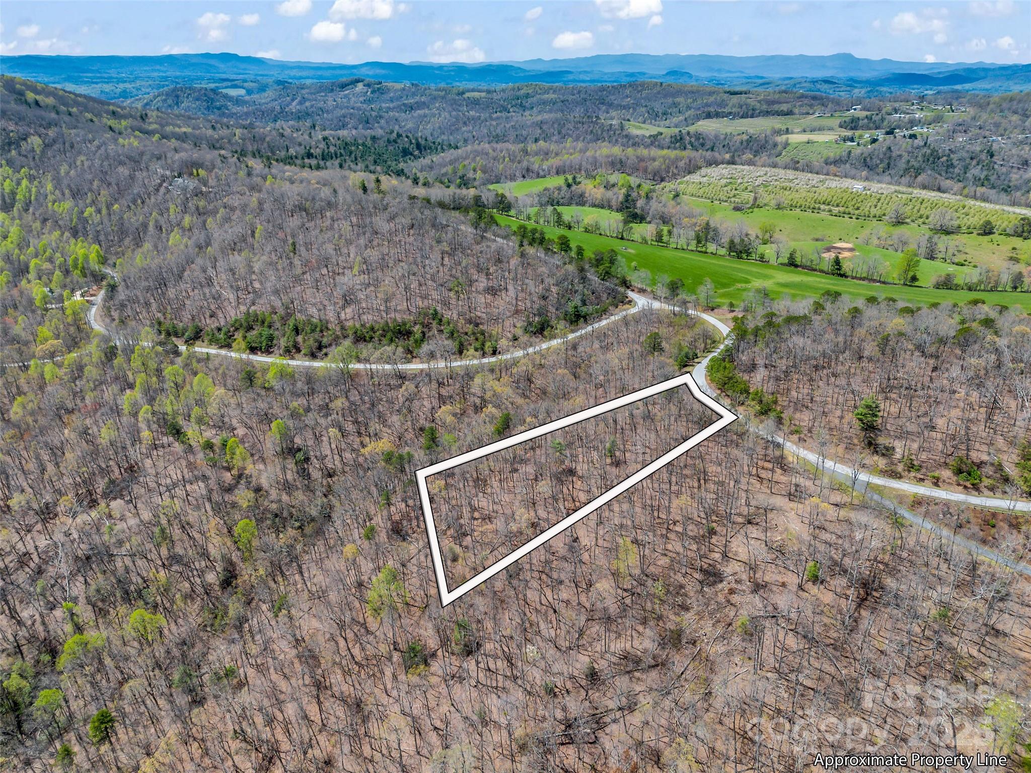 280 Eastman Place Mill Spring, NC 28756 - Photo 3 of 27 a view of a backyard