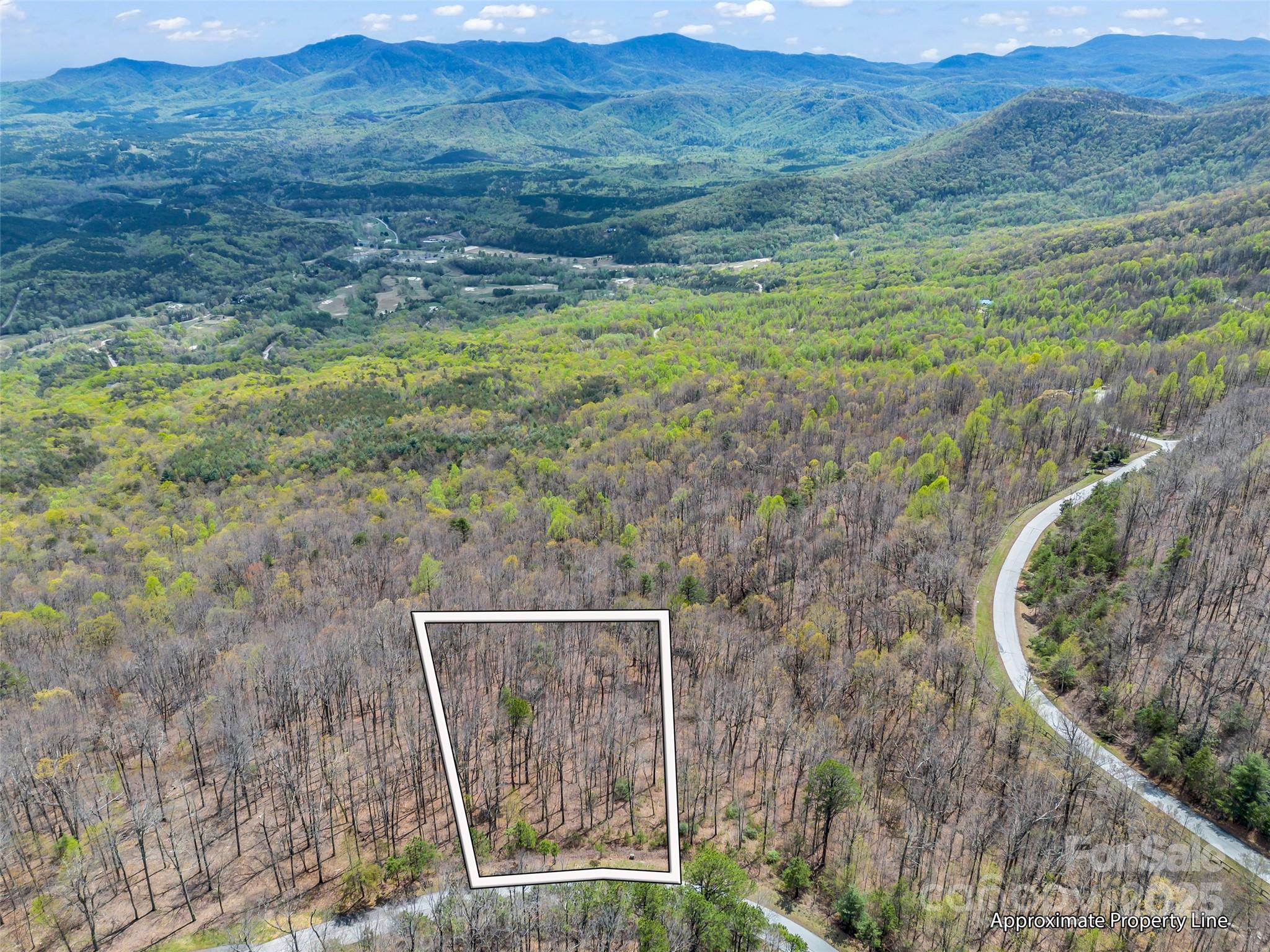 280 Eastman Place Mill Spring, NC 28756 - Photo 4 of 27 a view of outdoor space and mountain view