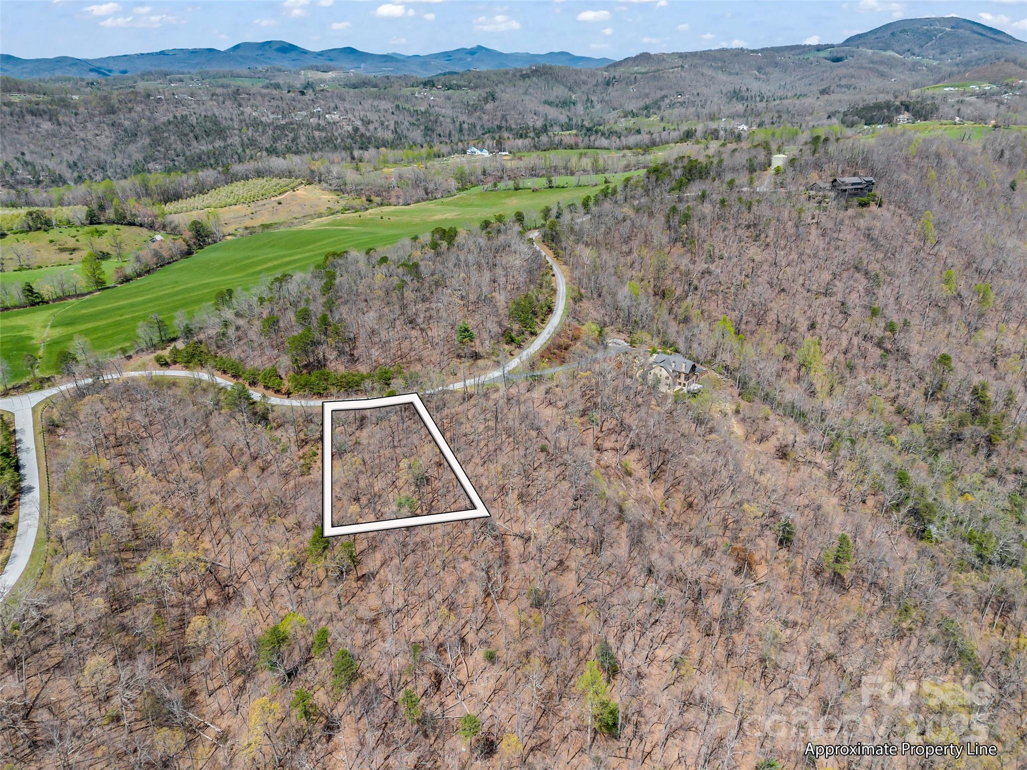 280 Eastman Place Mill Spring, NC 28756 - Photo 5 of 27 a view of a dry yard