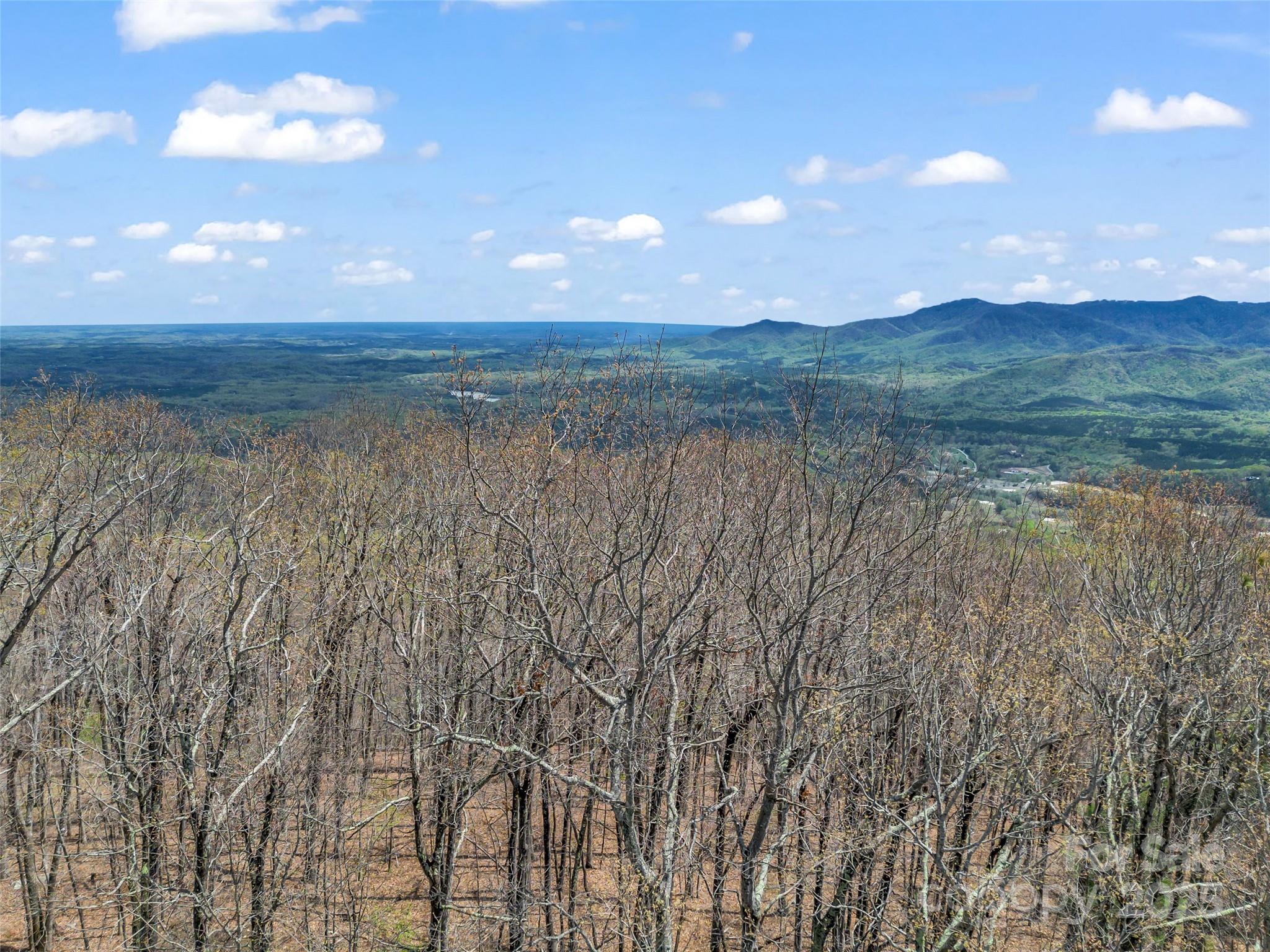 280 Eastman Place Mill Spring, NC 28756 - Photo 7 of 27 a view of lake with mountain