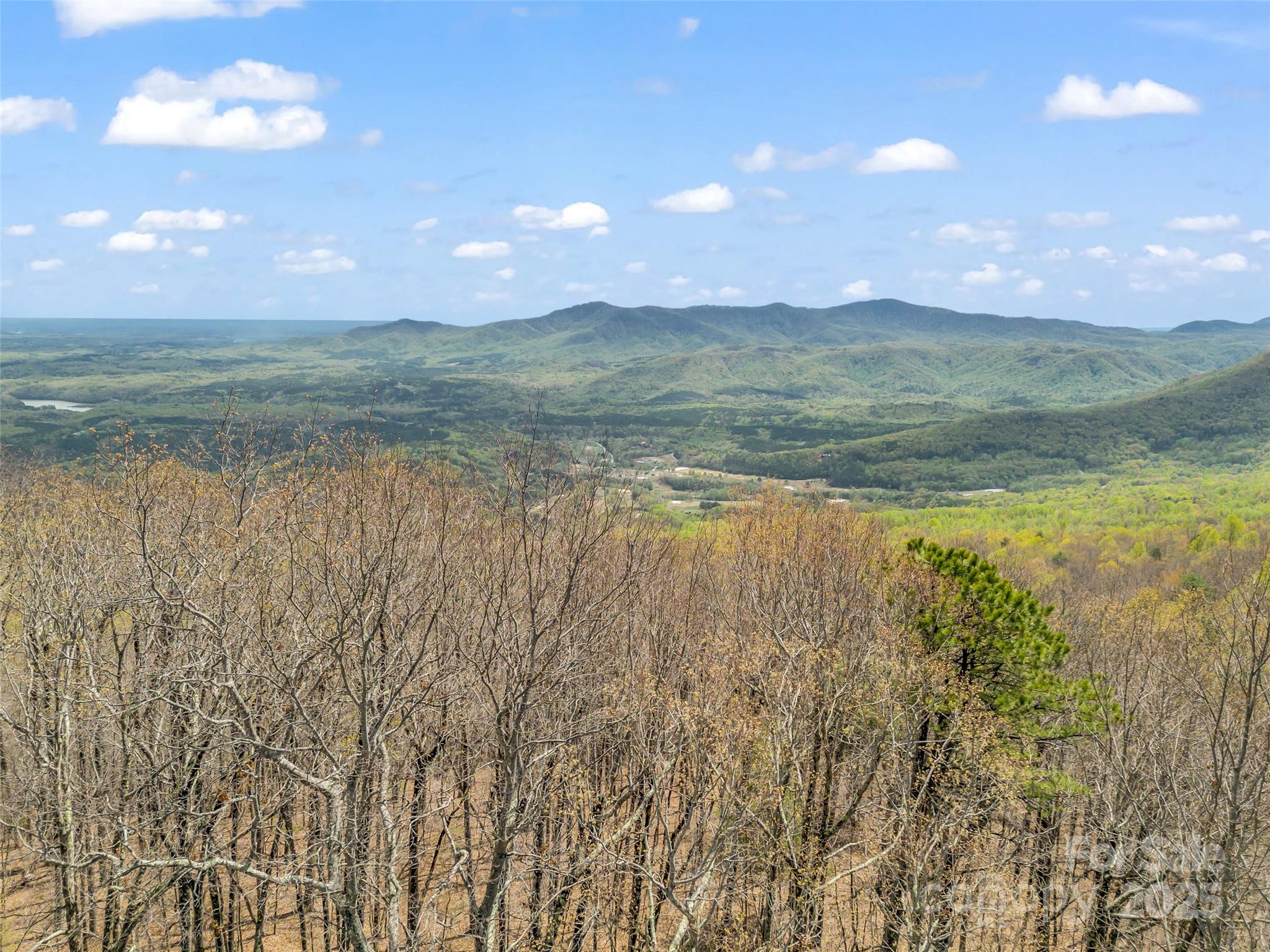 280 Eastman Place Mill Spring, NC 28756 - Photo 8 of 27 a view of lake with green space