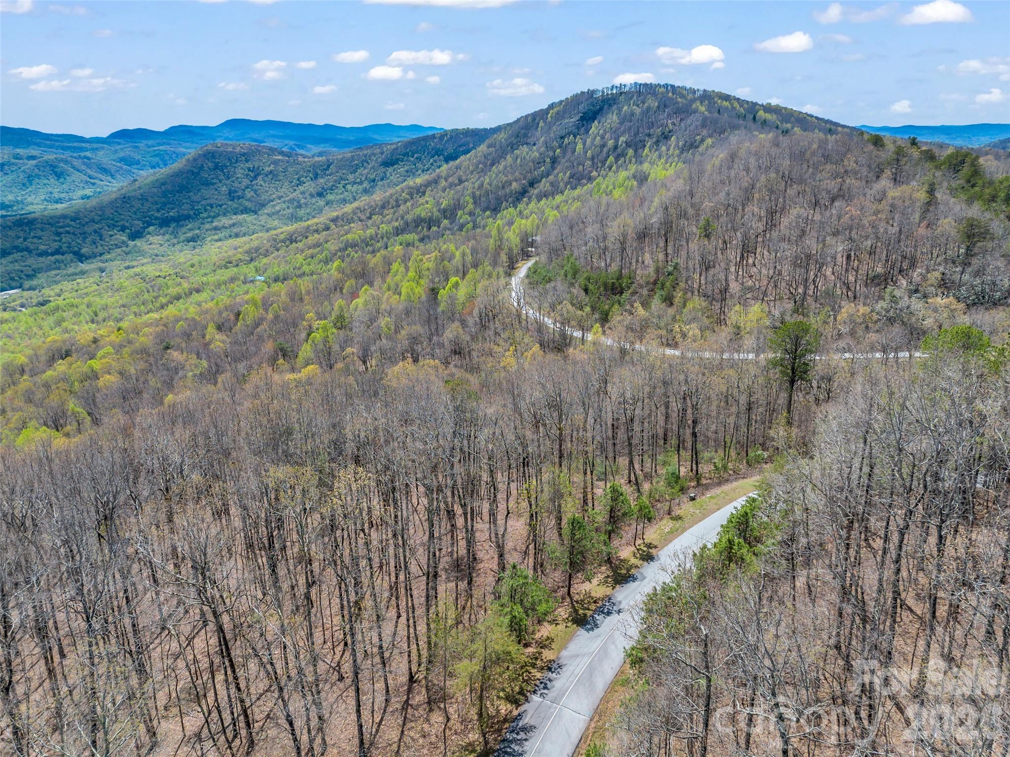 280 Eastman Place Mill Spring, NC 28756 - Photo 9 of 34 a view of a lush green field