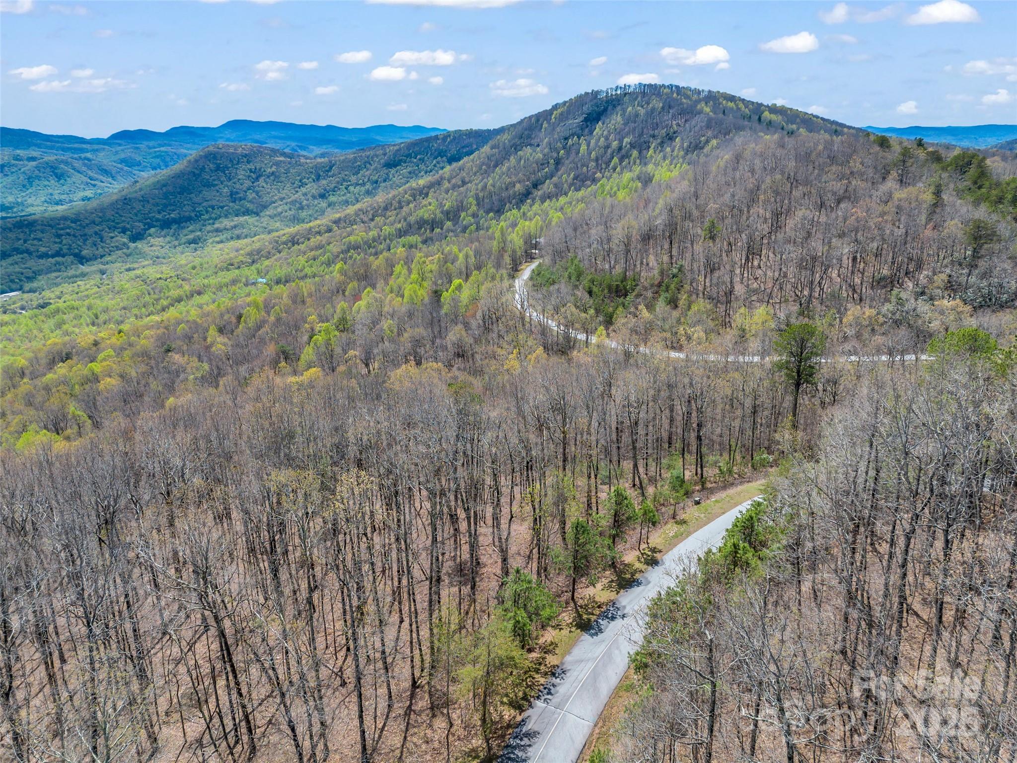 280 Eastman Place Mill Spring, NC 28756 - Photo 9 of 27 a view of a lush green forest with mountains in the background
