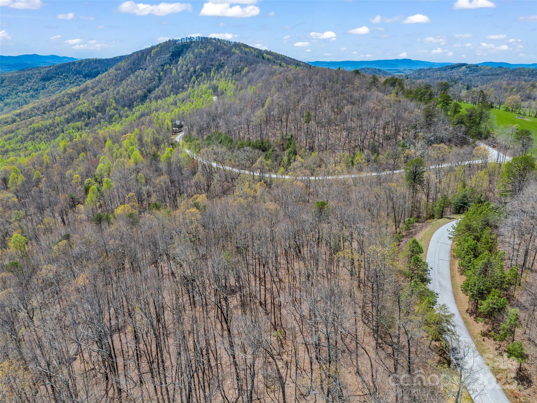 280 Eastman Place Mill Spring, NC 28756 - Photo 10 of 27 a view of a forest with a yard