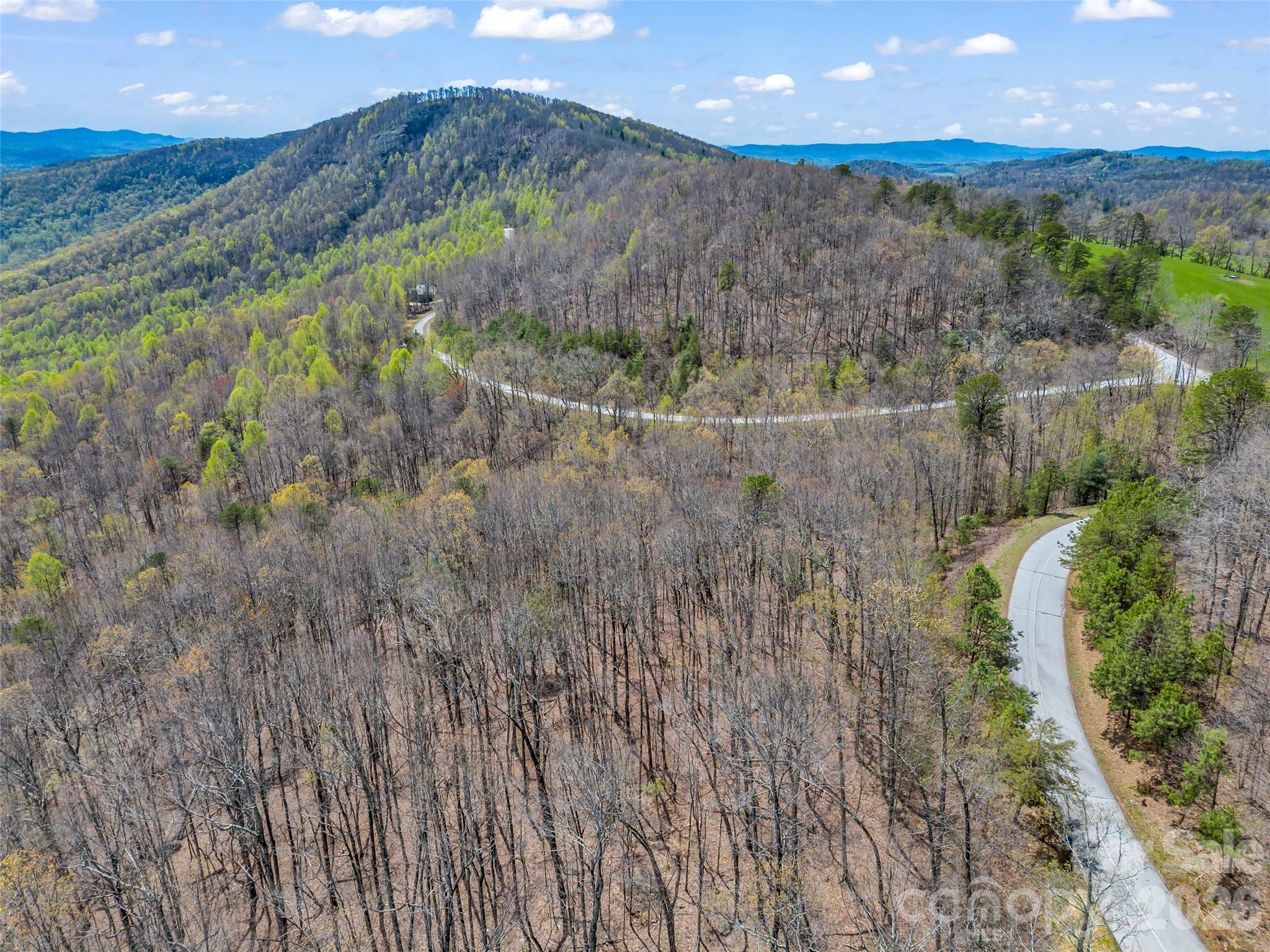 280 Eastman Place Mill Spring, NC 28756 - Photo 10 of 34 a view of a forest with a yard