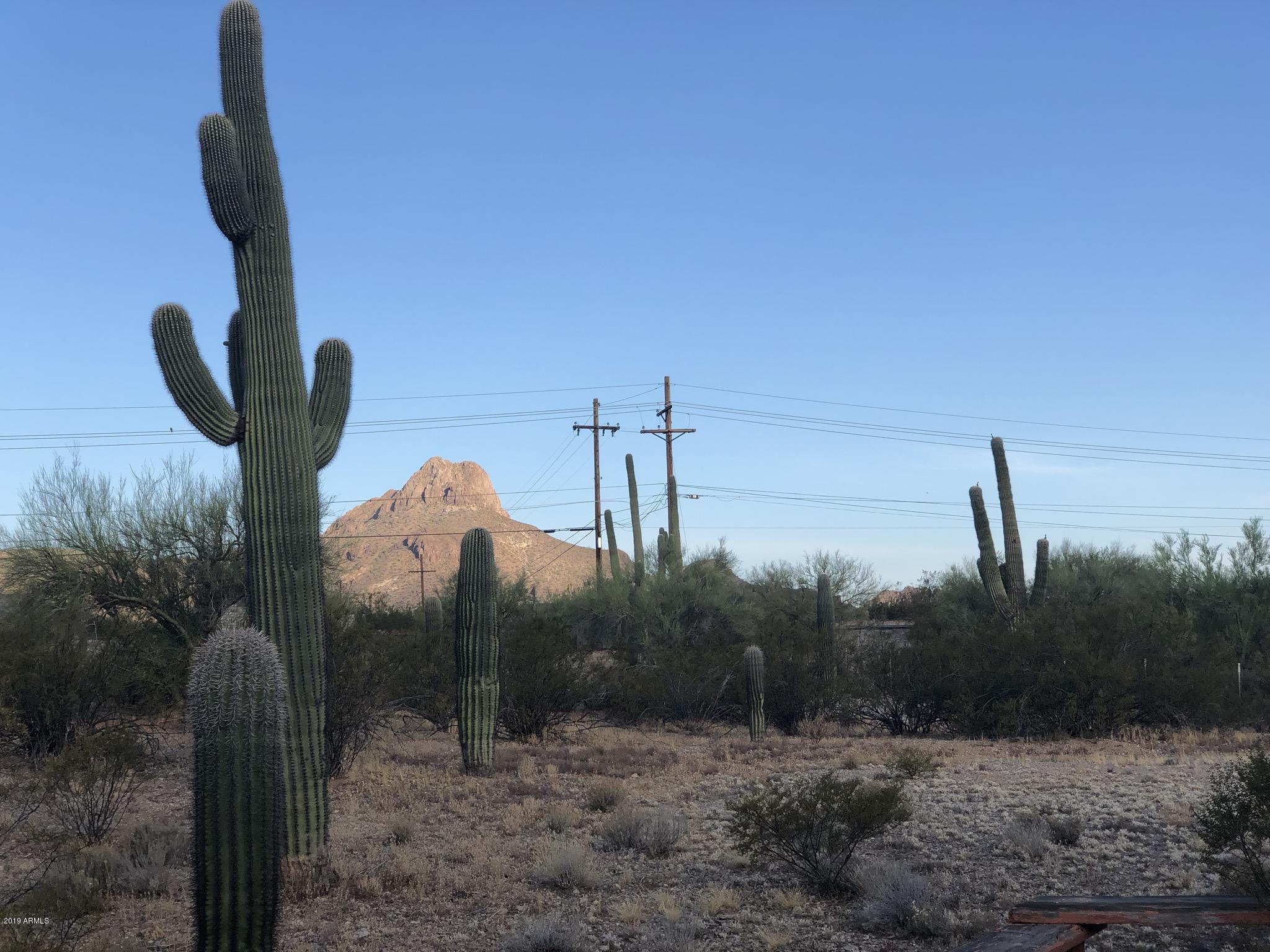 7350 North Wade Road Tucson, AZ 85743 - Photo 12 of 40 IMG_0027