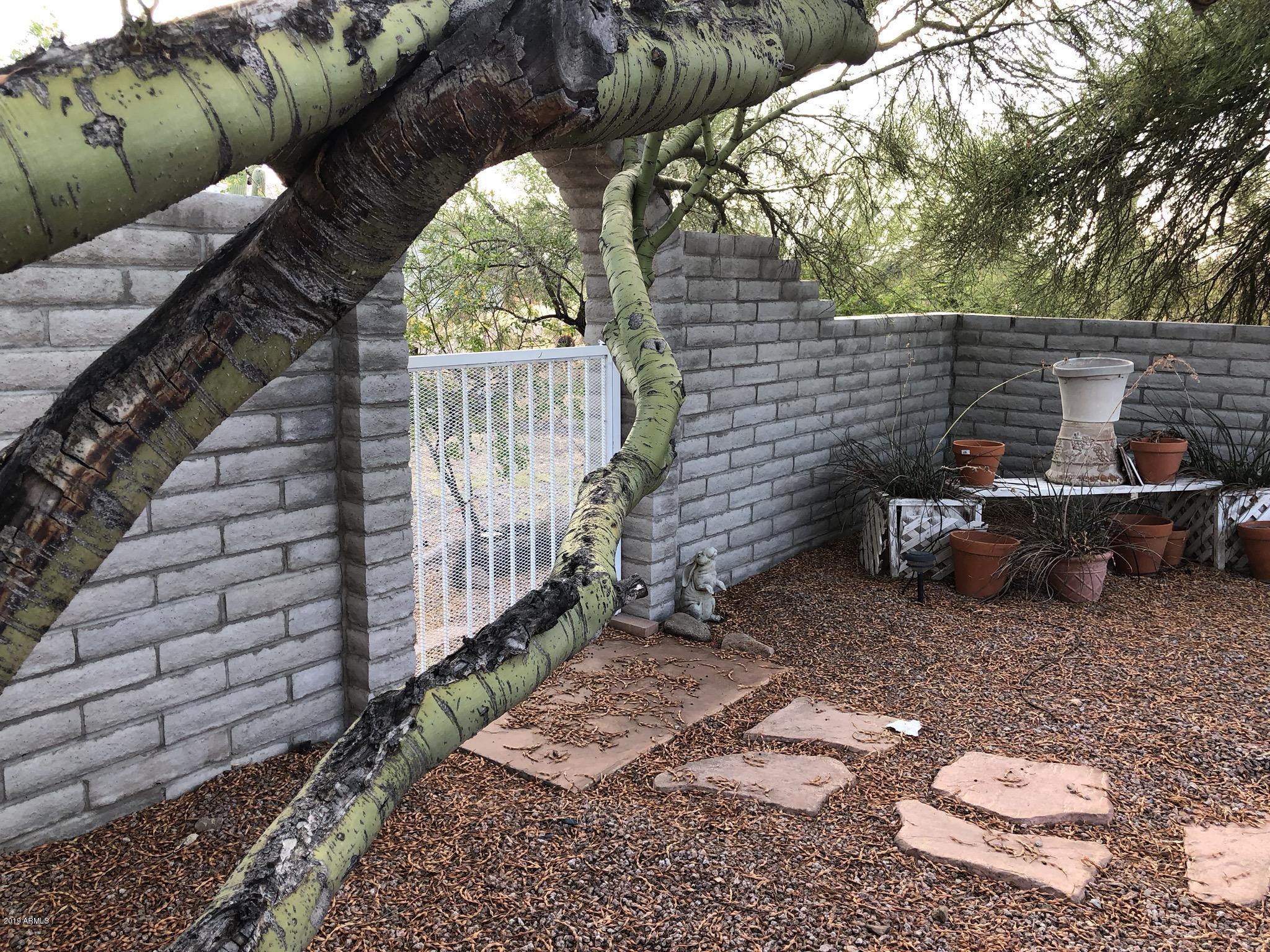 7350 North Wade Road Tucson, AZ 85743 - Photo 10 of 40 IMG_0030