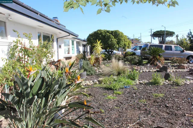a view of a house with a yard and plants