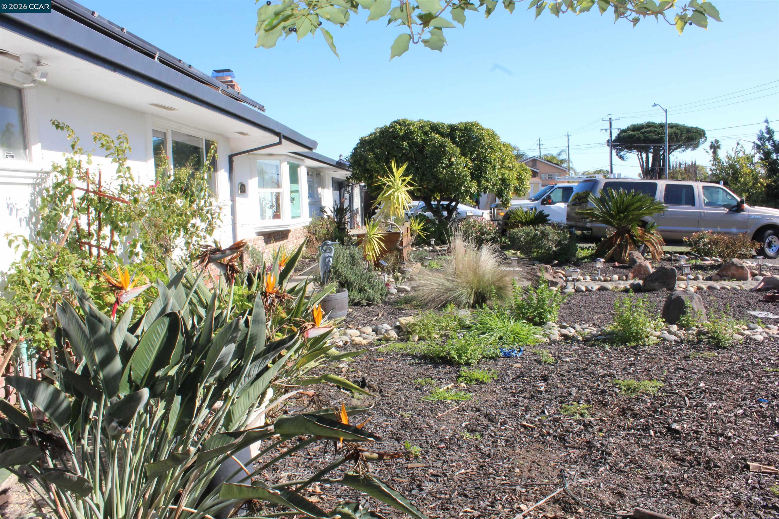 330 West Cypress Road Oakley, CA 94561 - Photo 5 of 59 a view of a house with a yard and plants