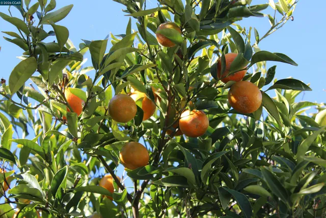 $1,200,000 | 330 West Cypress Road, Oakley, CA 94561