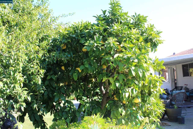 $1,200,000 | 330 West Cypress Road, Oakley, CA 94561