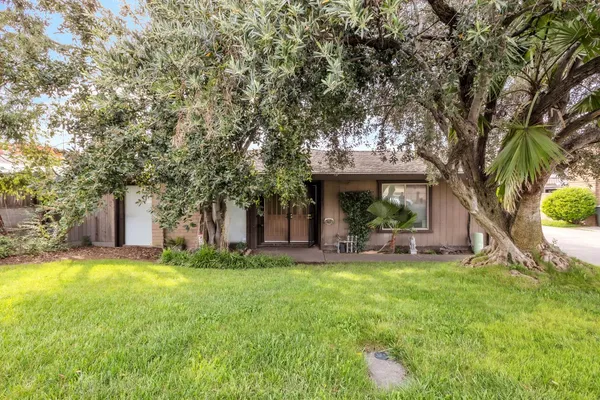 a view of a house with a yard and large tree