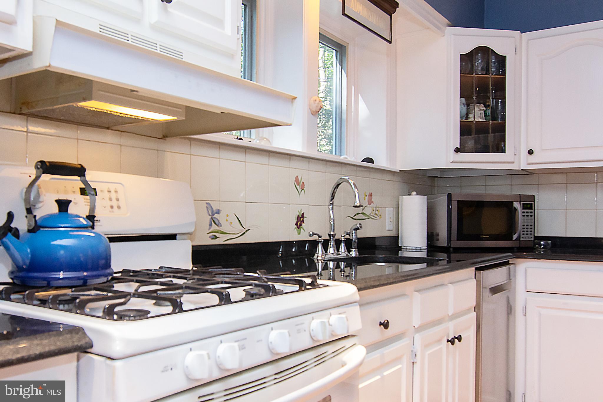 6 Center Road Baltimore, MD 21286 - Photo 7 of 46 Natural gas cooking!
