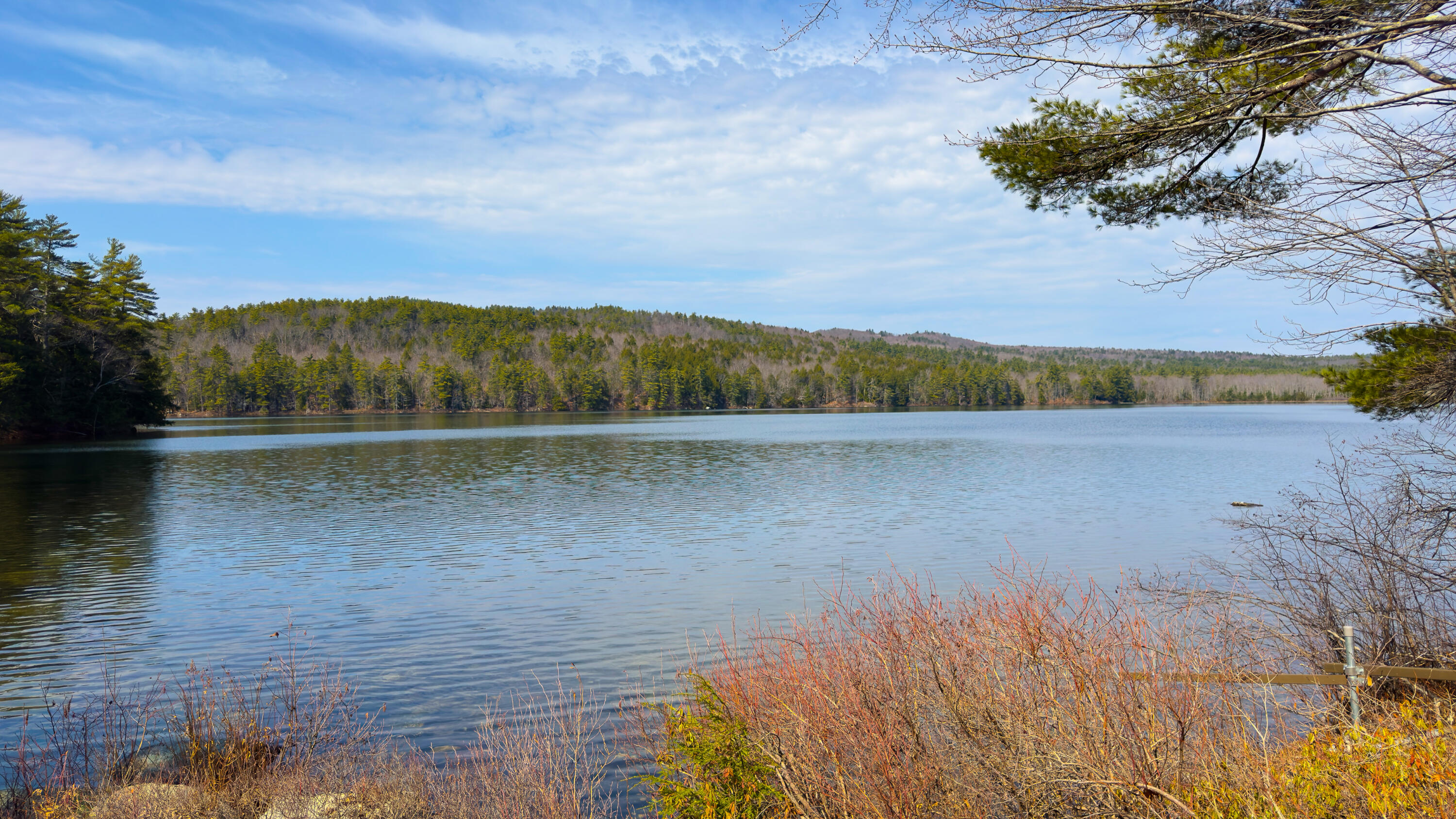 Two Ponds Road Bridgton, ME 04009 - Photo 3 of 9 4-10-2026 two pond road-75