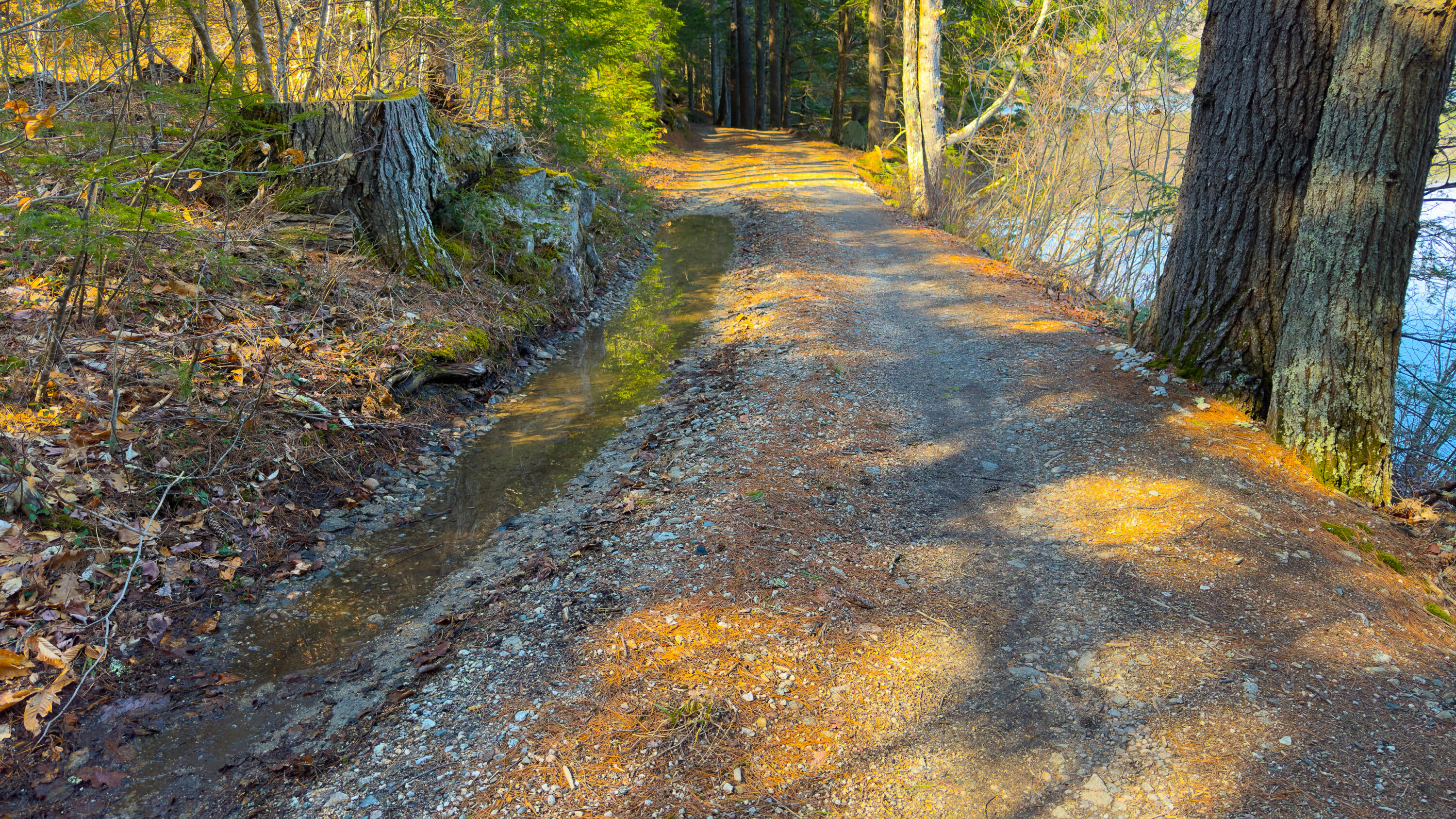 Two Ponds Road Bridgton, ME 04009 - Photo 4 of 9 4-10-2026 two pond road-53