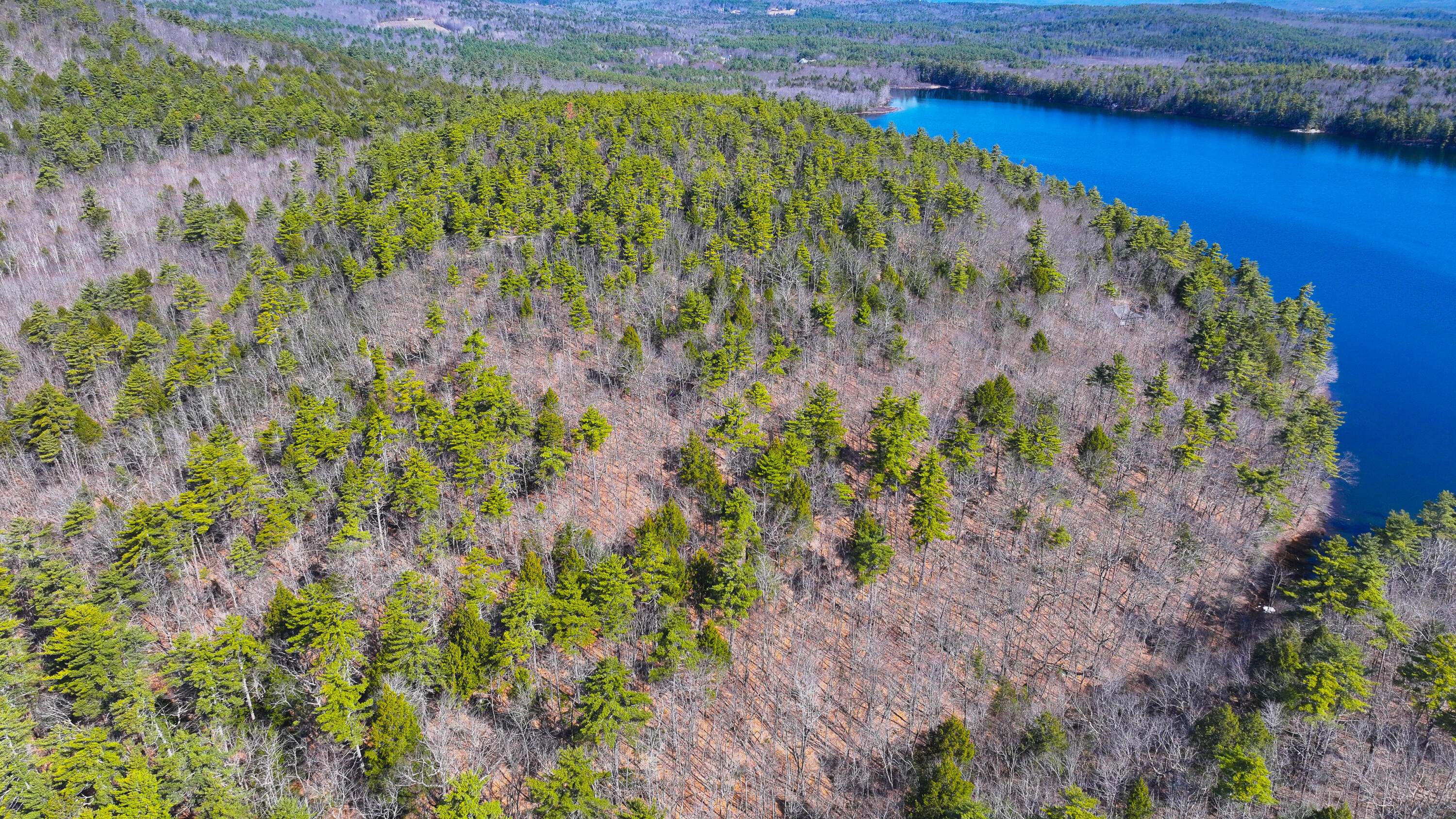 Two Ponds Road Bridgton, ME 04009 - Photo 6 of 9 4-10-2026 two pond road-5