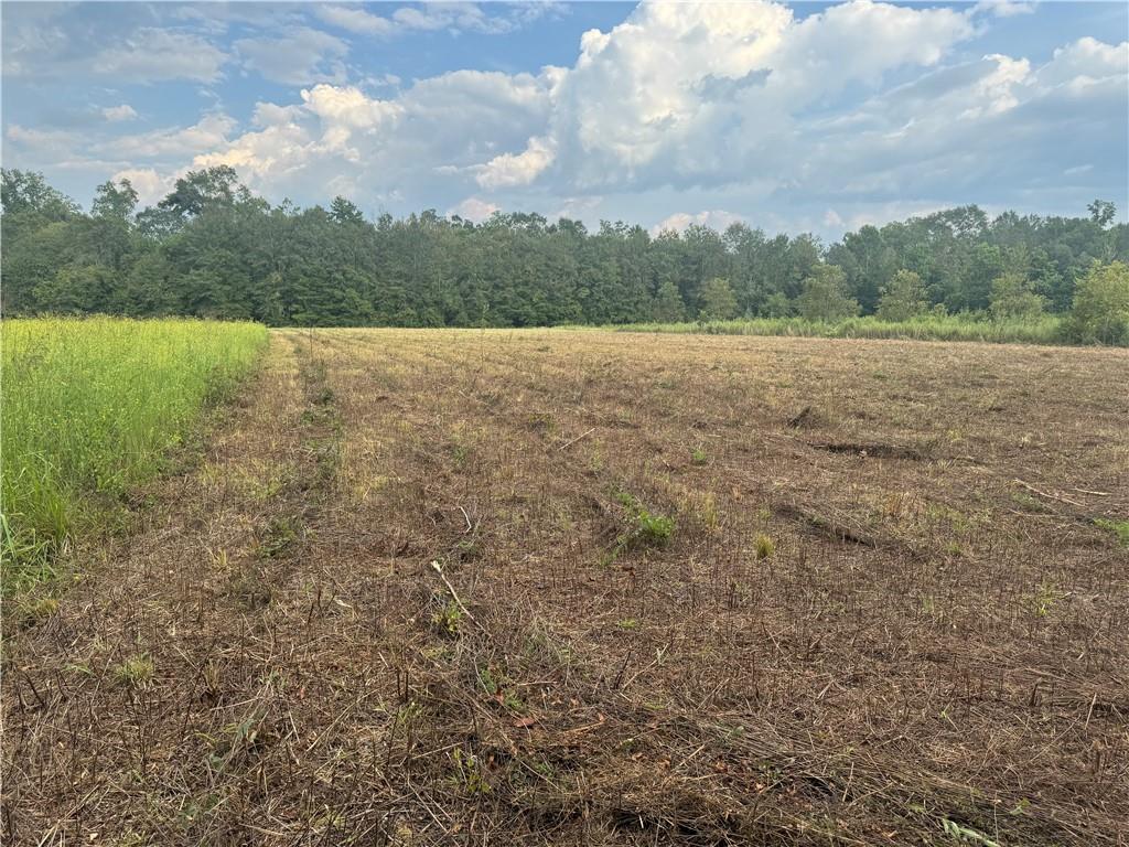 0 Lonnie Duncan Road Mount Hermon, LA 70450 - Photo 2 of 2