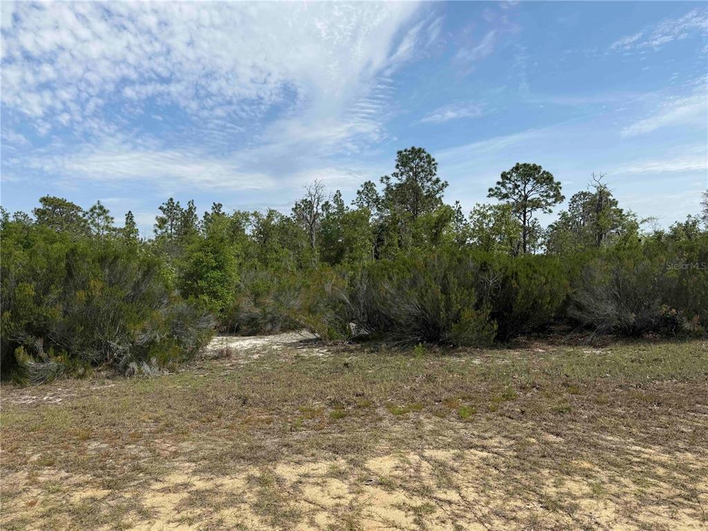 Tbd Northeast 110th Avenue Bronson, FL 32621 - Photo 5 of 10