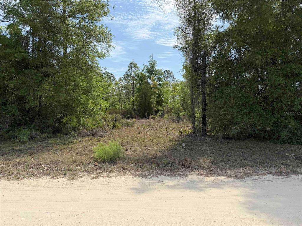 Tbd Northeast 110th Avenue Bronson, FL 32621 - Photo 6 of 10