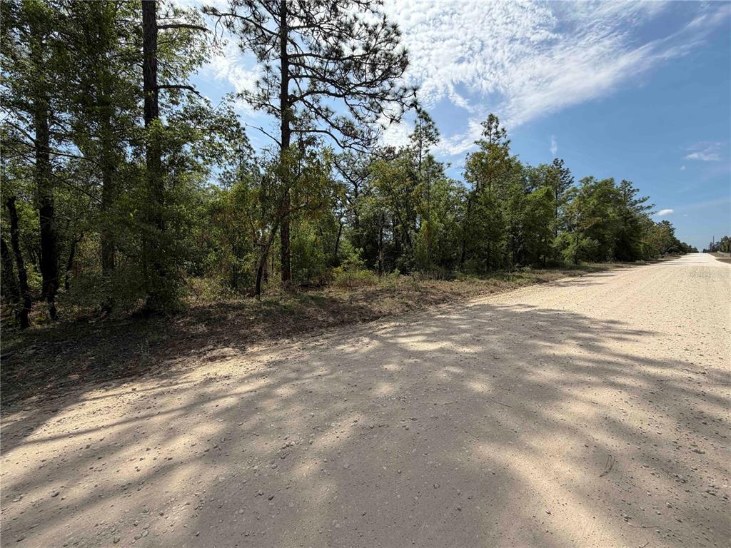 Tbd Northeast 110th Avenue Bronson, FL 32621 - Photo 10 of 10
