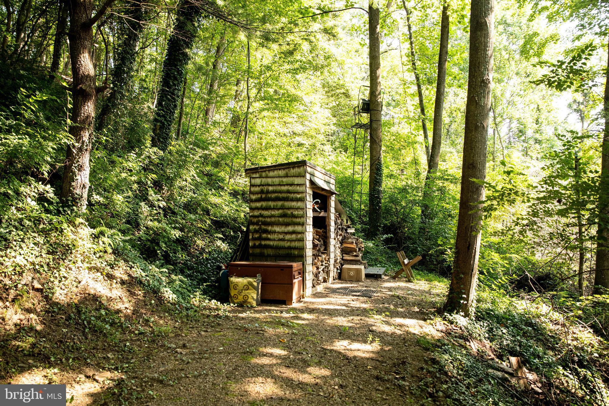 398 Acorn Road Millerstown, PA 17062 - Photo 11 of 42 Secluded cabin nestled in lush greenery.