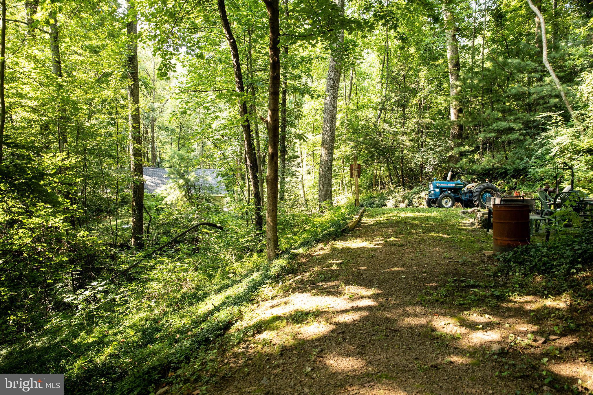 398 Acorn Road Millerstown, PA 17062 - Photo 12 of 42 Tranquil forest path with vintage tractor.