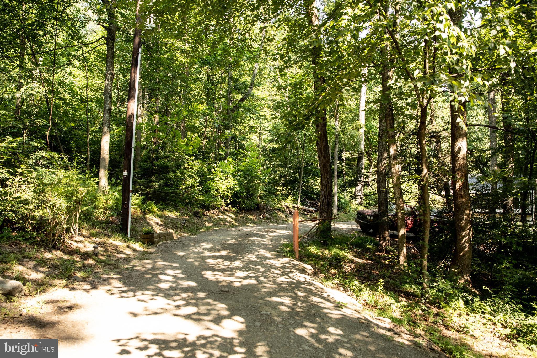 398 Acorn Road Millerstown, PA 17062 - Photo 18 of 42 Serene woodland path beckons exploration.